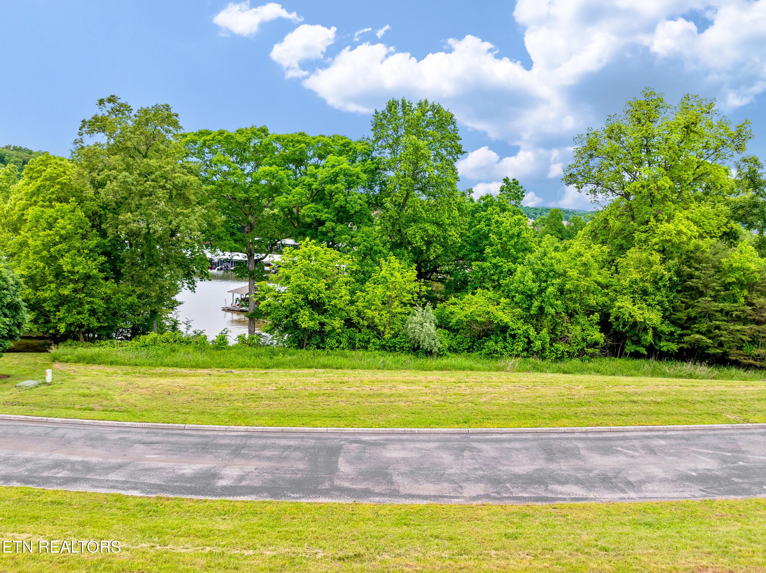 201 White Swan Drive, Vonore, TN - Fort Loudoun and Tellico Lake Real Estate - Image# 2
