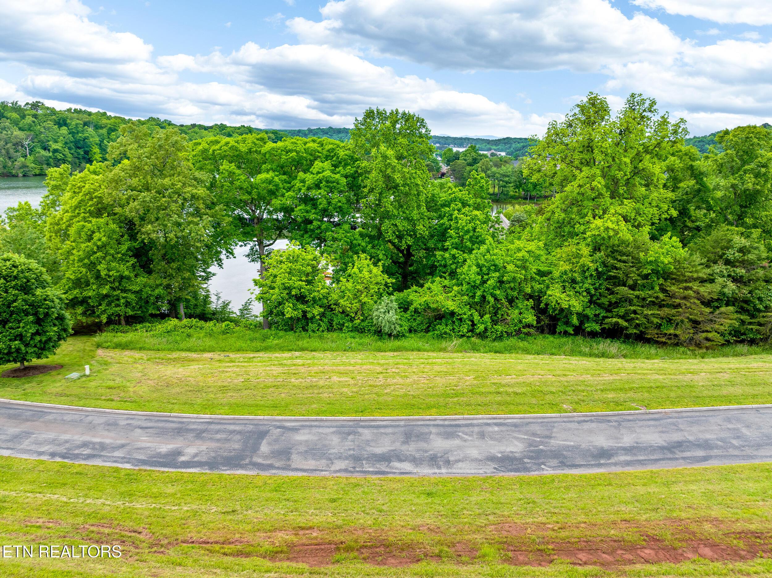 201 White Swan Drive, Vonore, TN - Fort Loudoun and Tellico Lake Real Estate - Image# 3