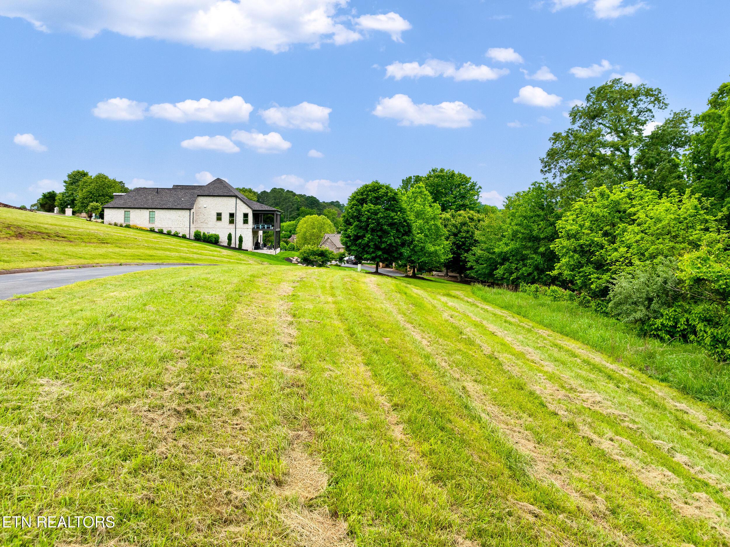 201 White Swan Drive, Vonore, TN - Fort Loudoun and Tellico Lake Real Estate - Image# 4