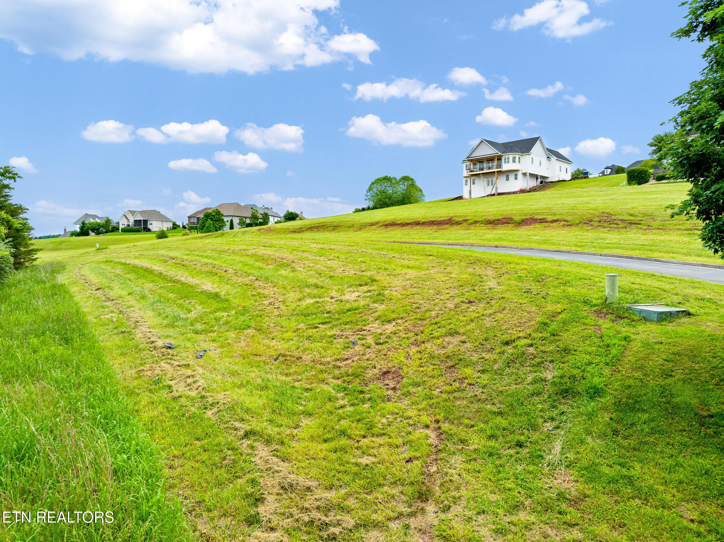 201 White Swan Drive, Vonore, TN - Fort Loudoun and Tellico Lake Real Estate - Image# 5