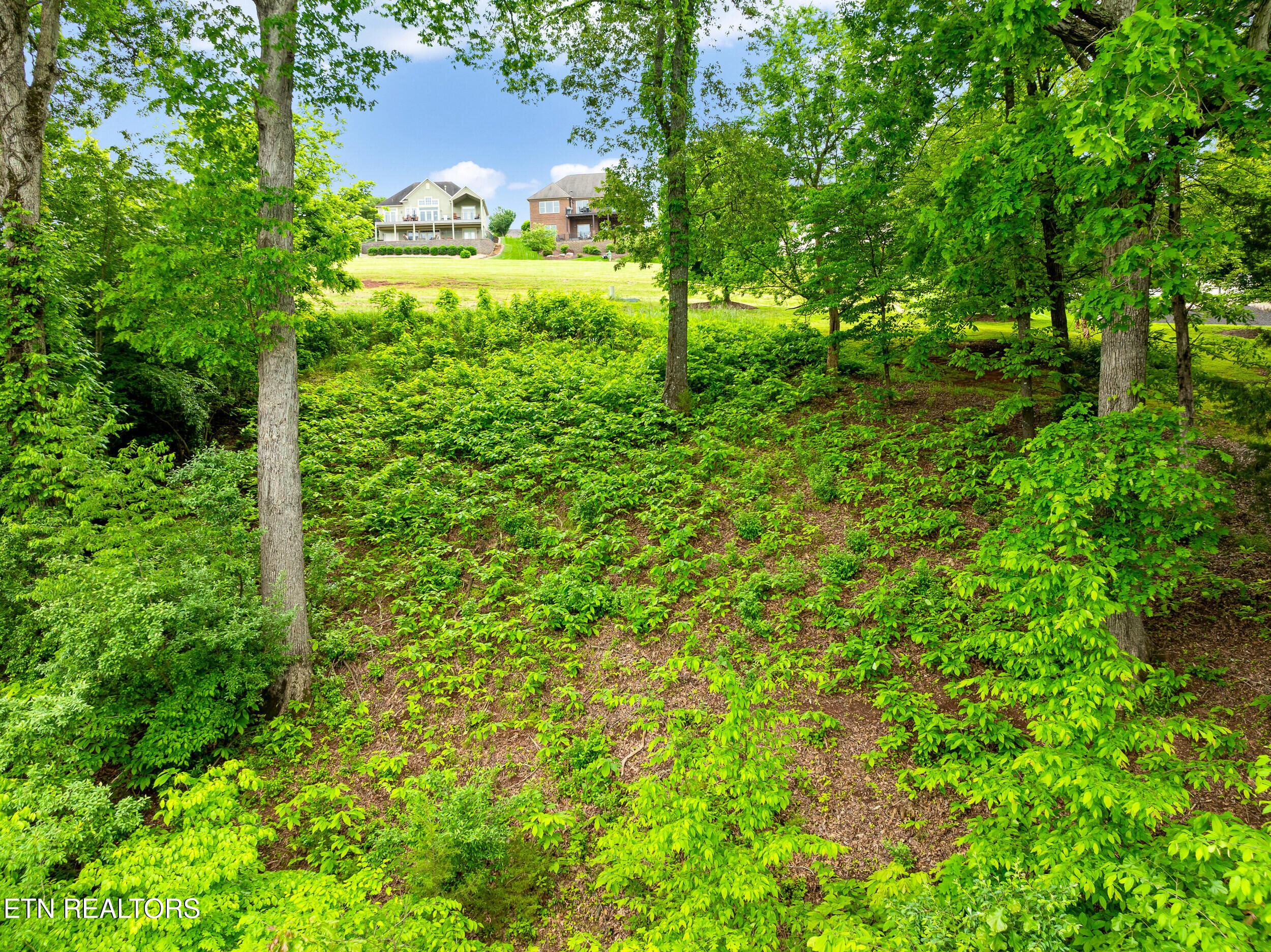 201 White Swan Drive, Vonore, TN - Fort Loudoun and Tellico Lake Real Estate - Image# 9
