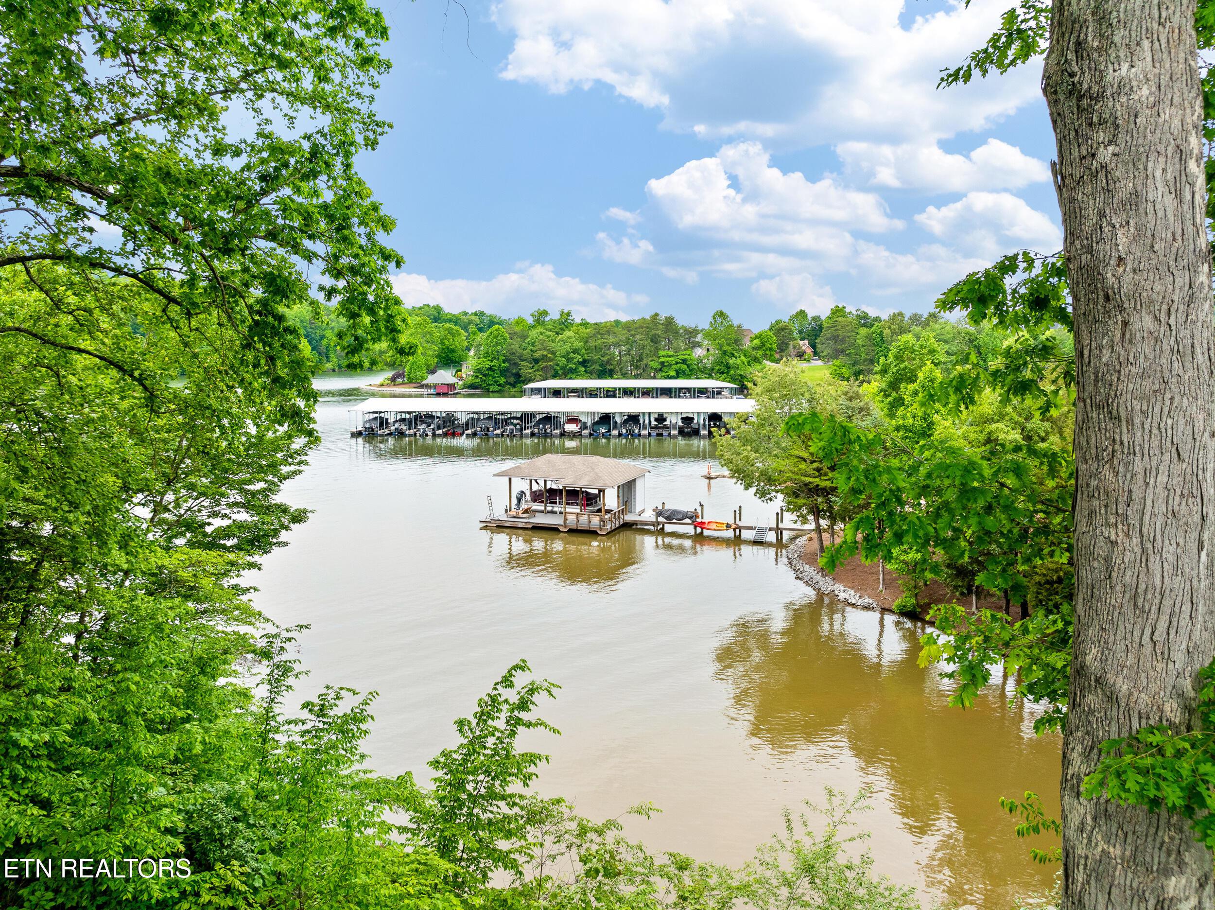 201 White Swan Drive, Vonore, TN - Fort Loudoun and Tellico Lake Real Estate - Image# 10