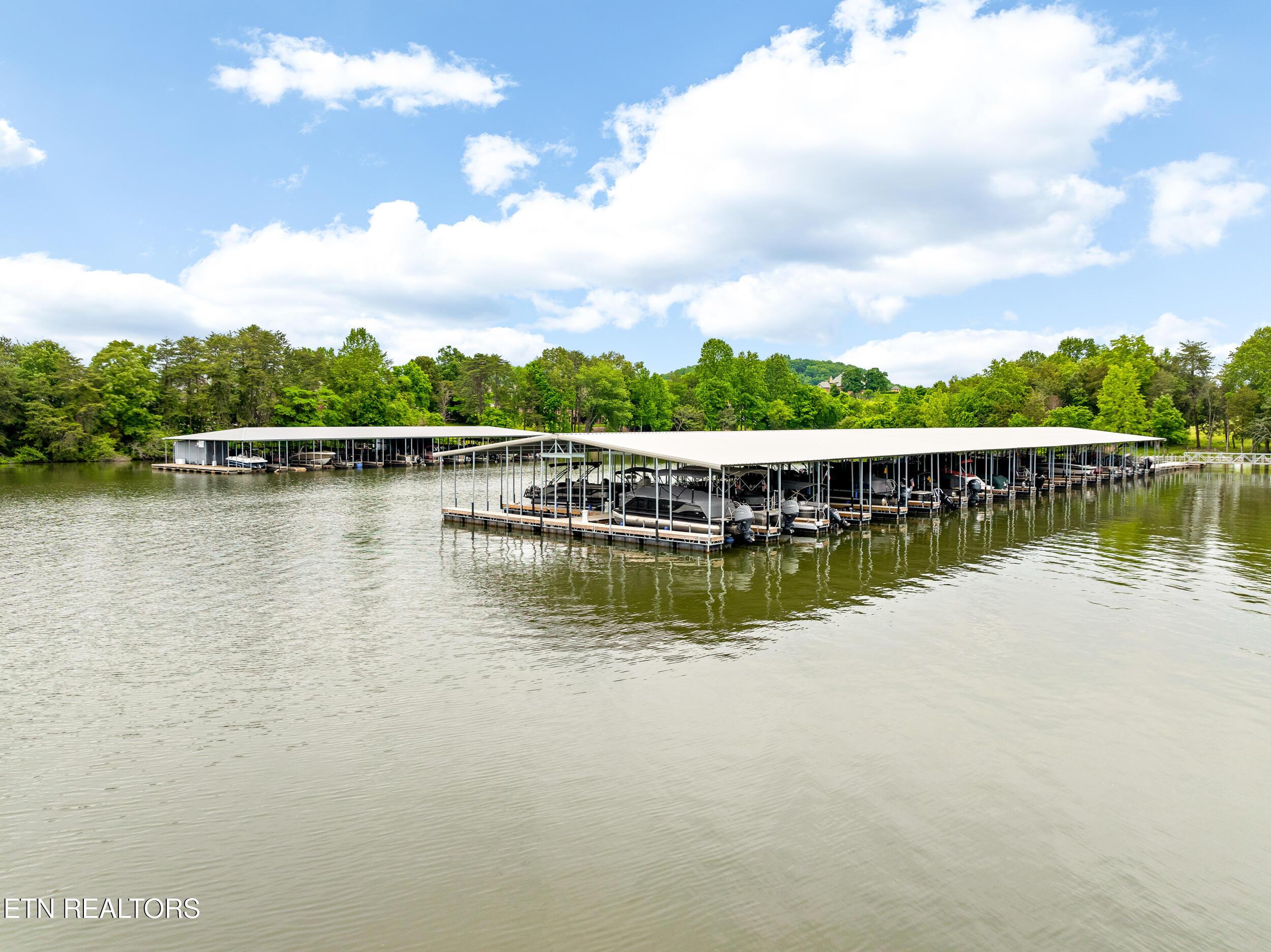 201 White Swan Drive, Vonore, TN - Fort Loudoun and Tellico Lake Real Estate - Image# 16