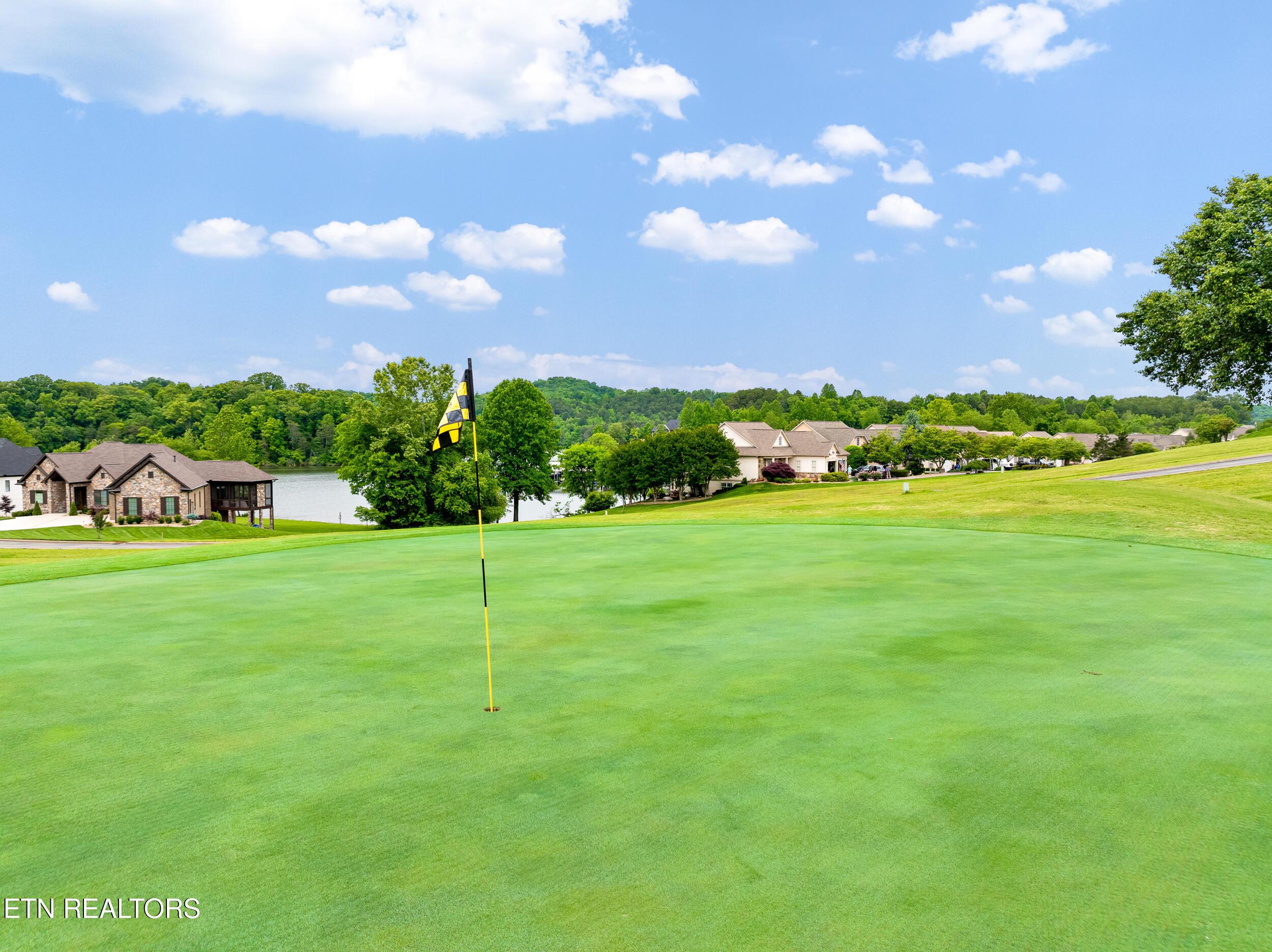 201 White Swan Drive, Vonore, TN - Fort Loudoun and Tellico Lake Real Estate - Image# 18