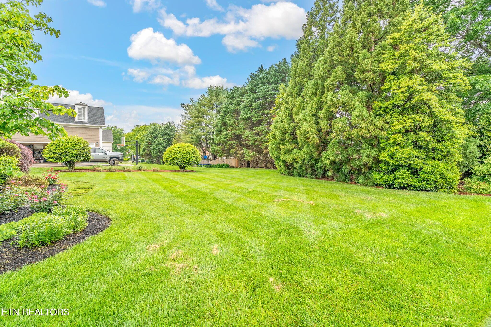 Fort Loudoun and Tellico Lake Real Estate - Image# 50