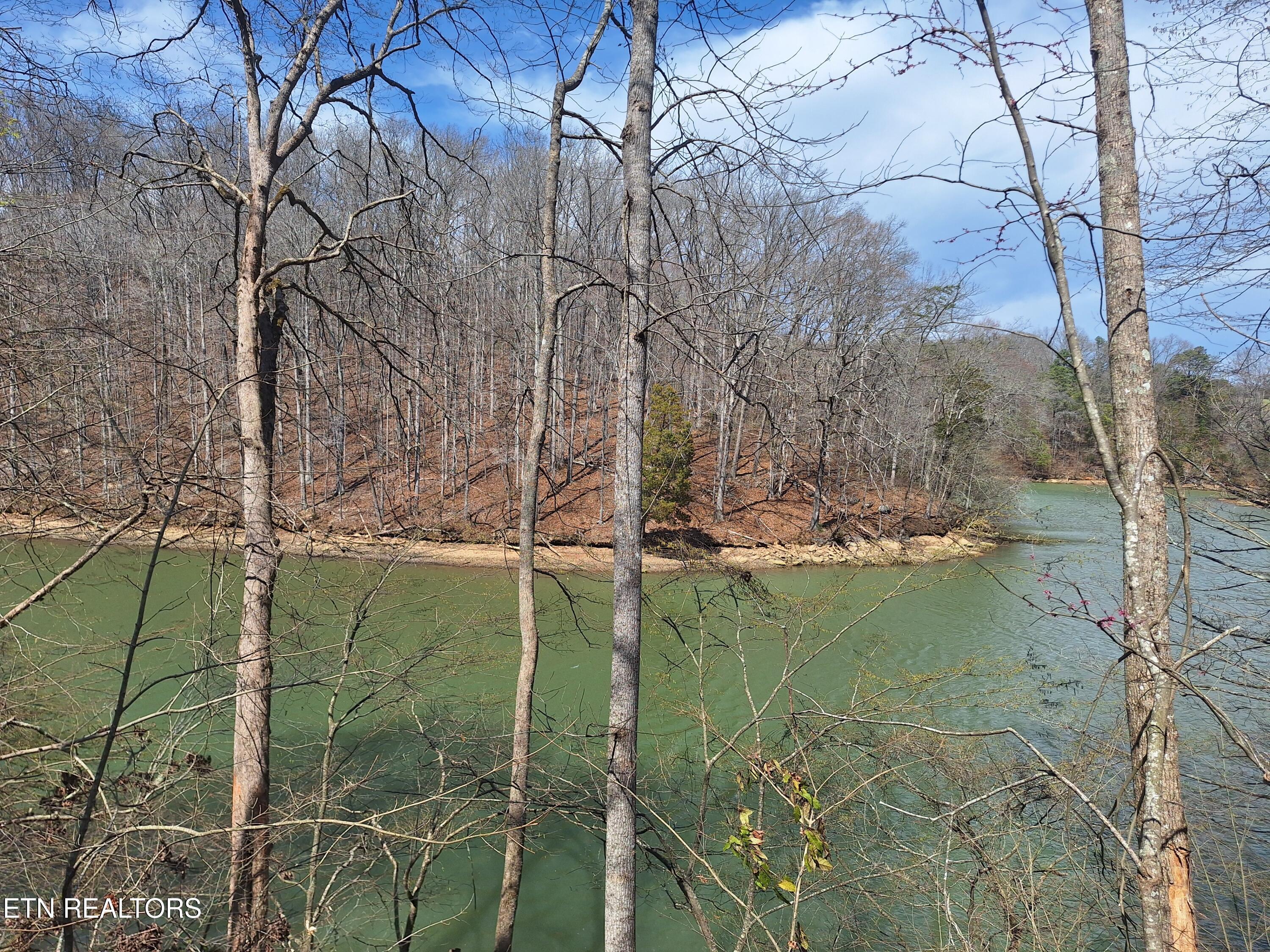 13136 George Lovelace Lane, Knoxville, TN - Fort Loudoun and Tellico Lake Real Estate - Image# 6