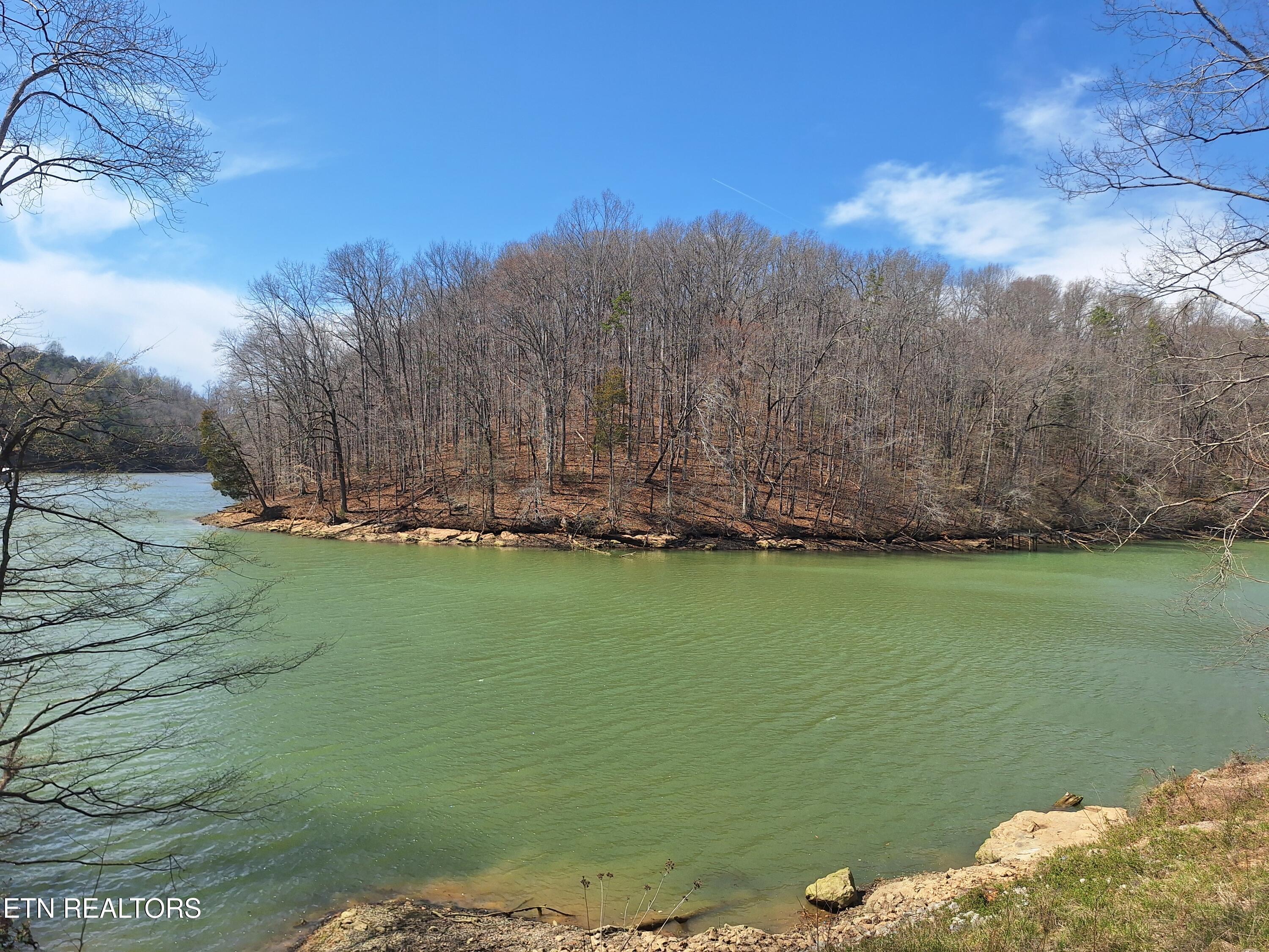 13136 George Lovelace Lane, Knoxville, TN - Fort Loudoun and Tellico Lake Real Estate - Image# 5
