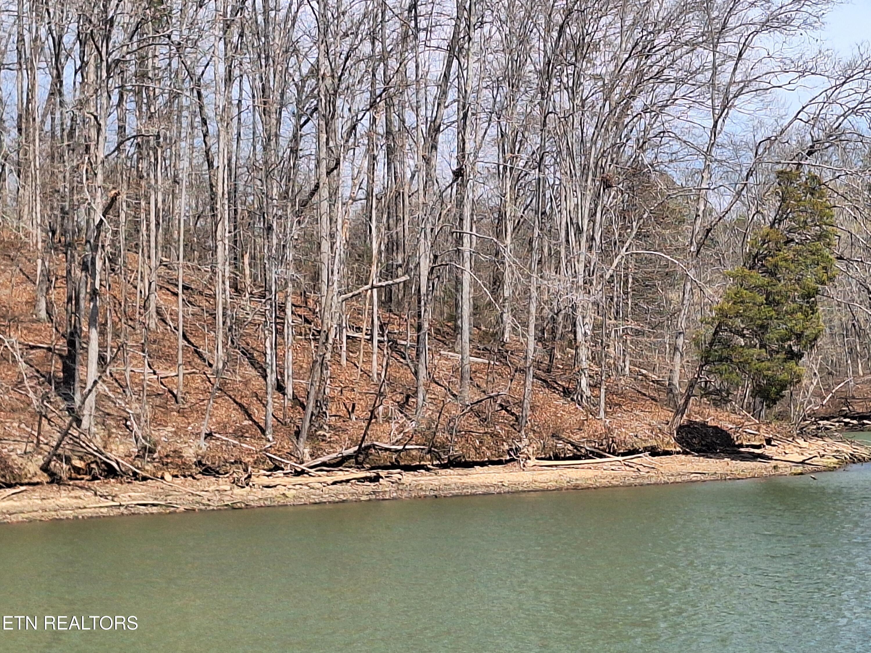 13136 George Lovelace Lane, Knoxville, TN - Fort Loudoun and Tellico Lake Real Estate - Image# 7