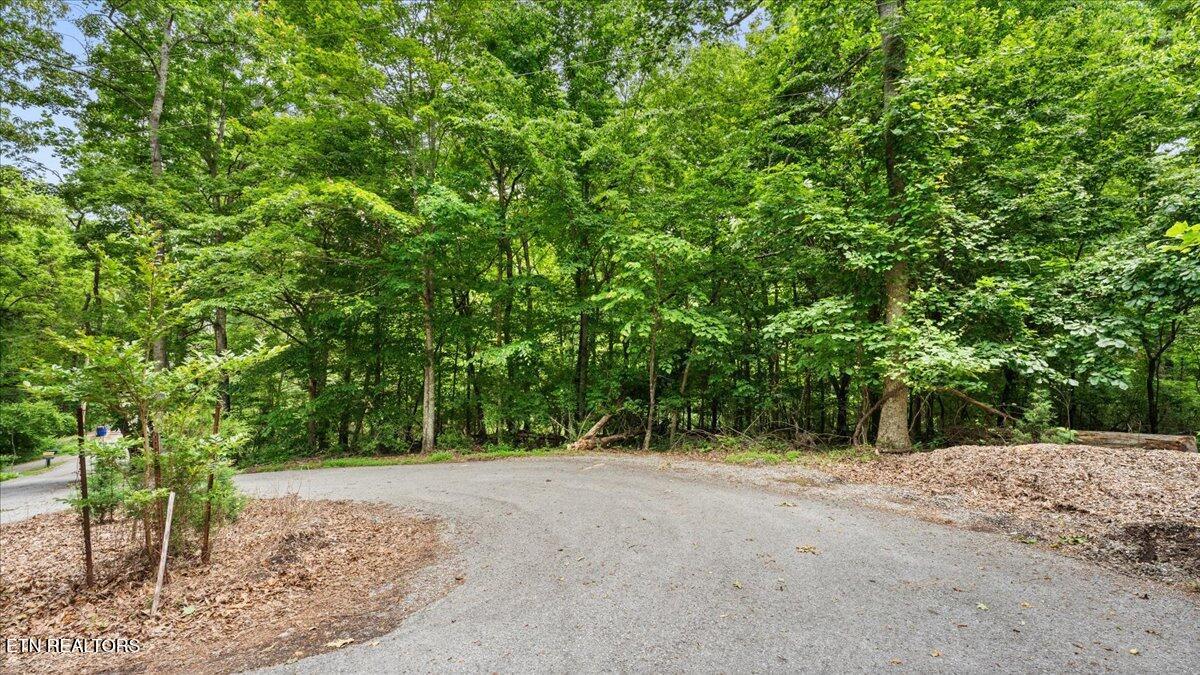 13136 George Lovelace Lane, Knoxville, TN - Fort Loudoun and Tellico Lake Real Estate - Image# 8