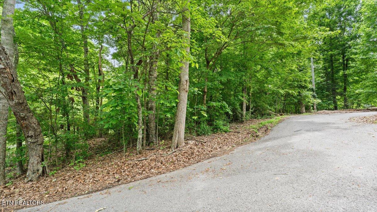 13136 George Lovelace Lane, Knoxville, TN - Fort Loudoun and Tellico Lake Real Estate - Image# 9