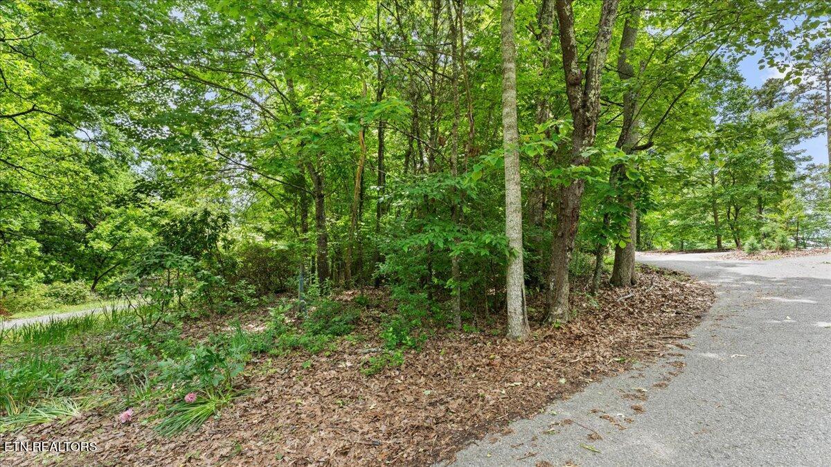 13136 George Lovelace Lane, Knoxville, TN - Fort Loudoun and Tellico Lake Real Estate - Image# 10