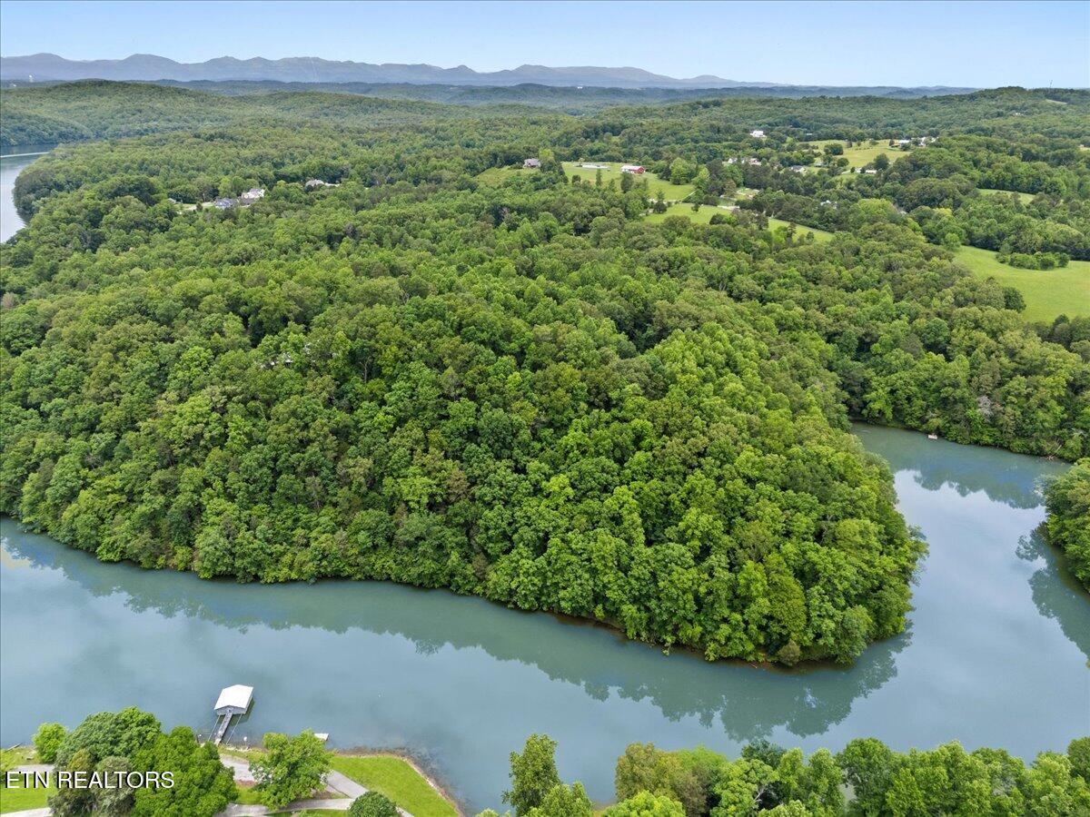 13136 George Lovelace Lane, Knoxville, TN - Fort Loudoun and Tellico Lake Real Estate - Image# 13