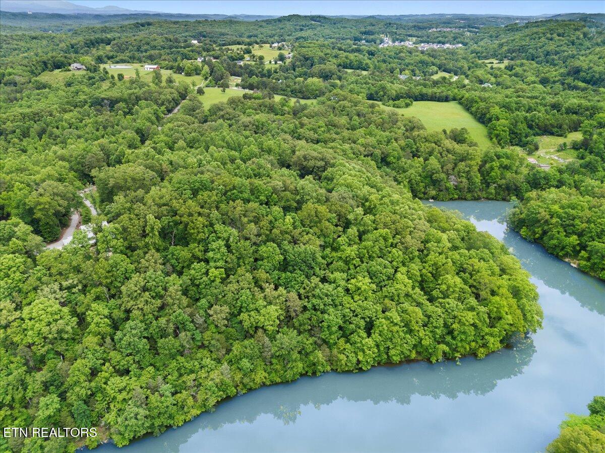 13136 George Lovelace Lane, Knoxville, TN - Fort Loudoun and Tellico Lake Real Estate - Image# 14