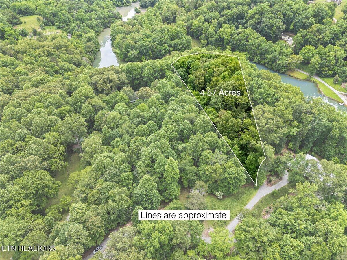 13136 George Lovelace Lane, Knoxville, TN - Fort Loudoun and Tellico Lake Real Estate - Image# 15
