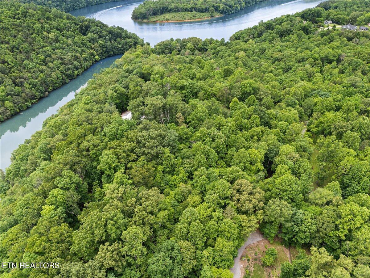 13136 George Lovelace Lane, Knoxville, TN - Fort Loudoun and Tellico Lake Real Estate - Image# 16