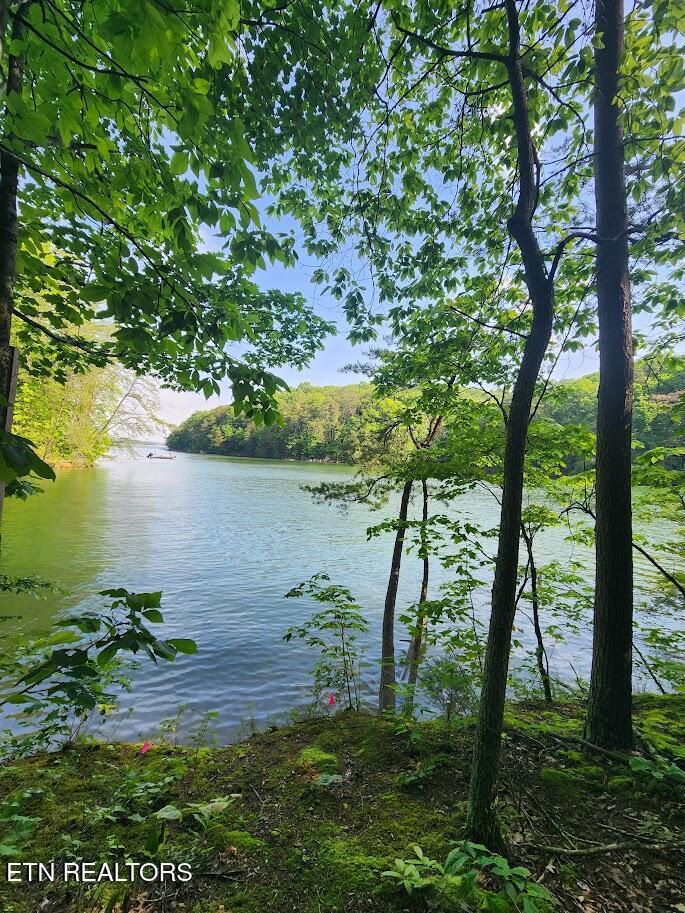 10650 W Antioch Church W Rd, Lenoir City, TN - Fort Loudoun and Tellico Lake Real Estate - Image# 14