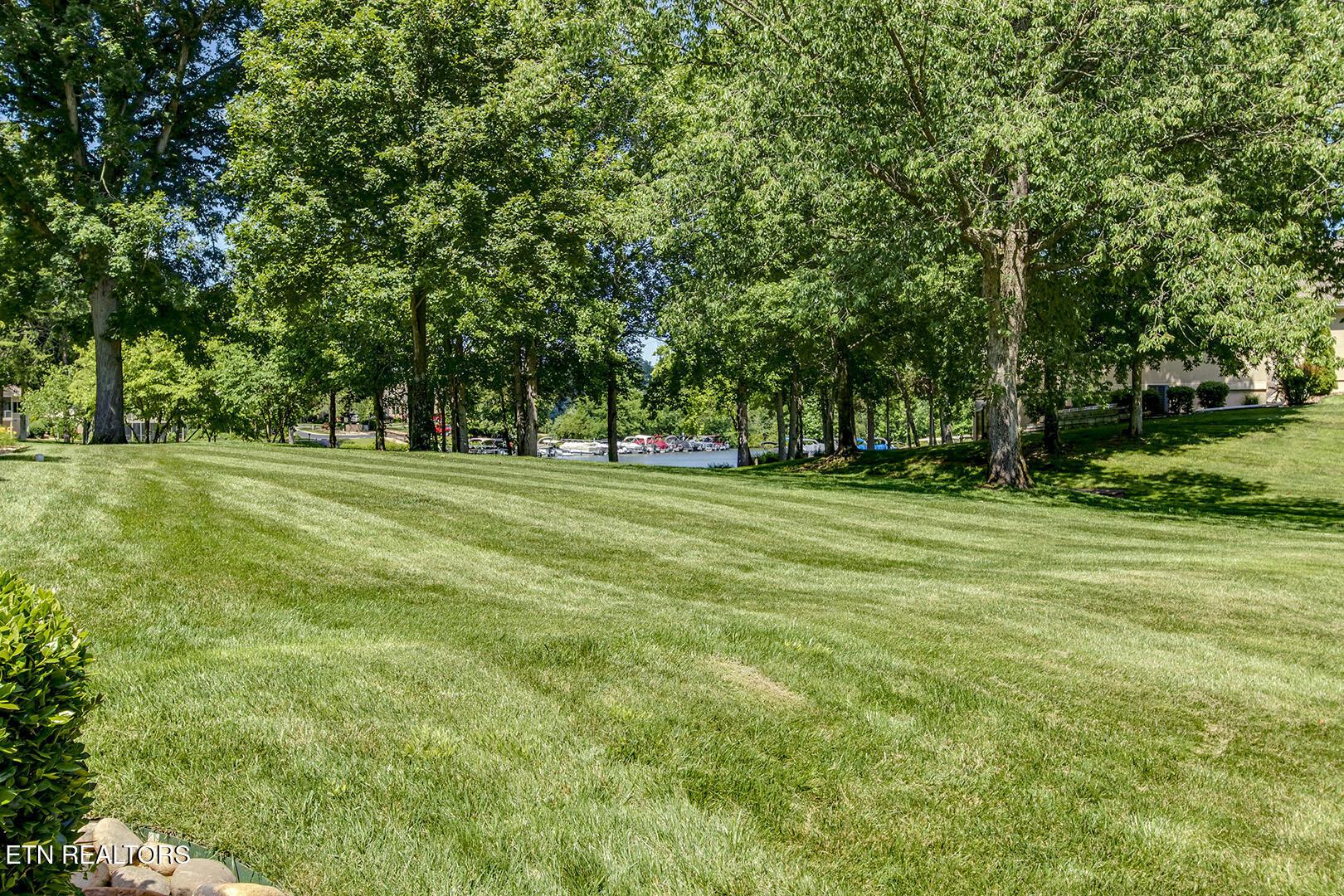 Fort Loudoun and Tellico Lake Real Estate - Image# 54