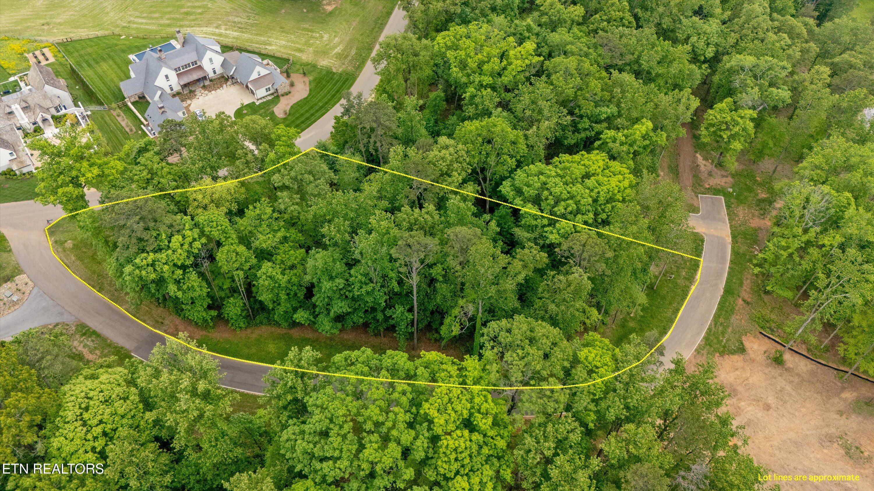 Lot 246R Arcadia Peninsula Way, Knoxville, TN - Fort Loudoun and Tellico Lake Real Estate - Image# 4