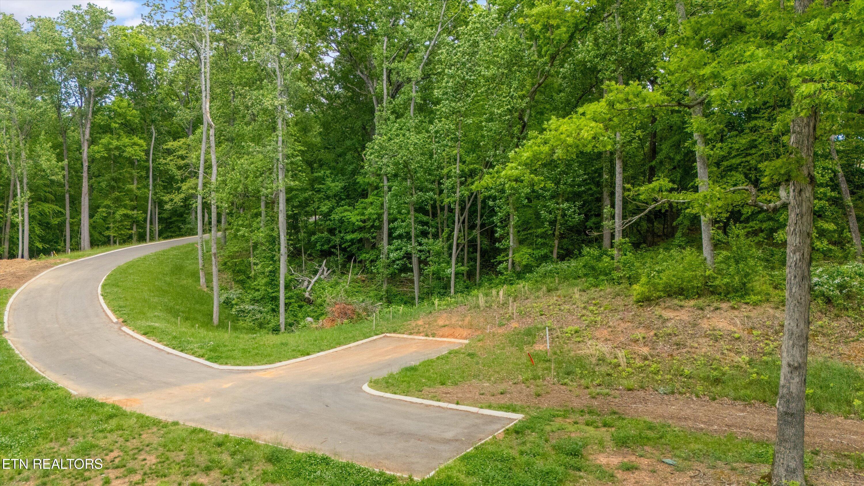 Lot 246R Arcadia Peninsula Way, Knoxville, TN - Fort Loudoun and Tellico Lake Real Estate - Image# 6