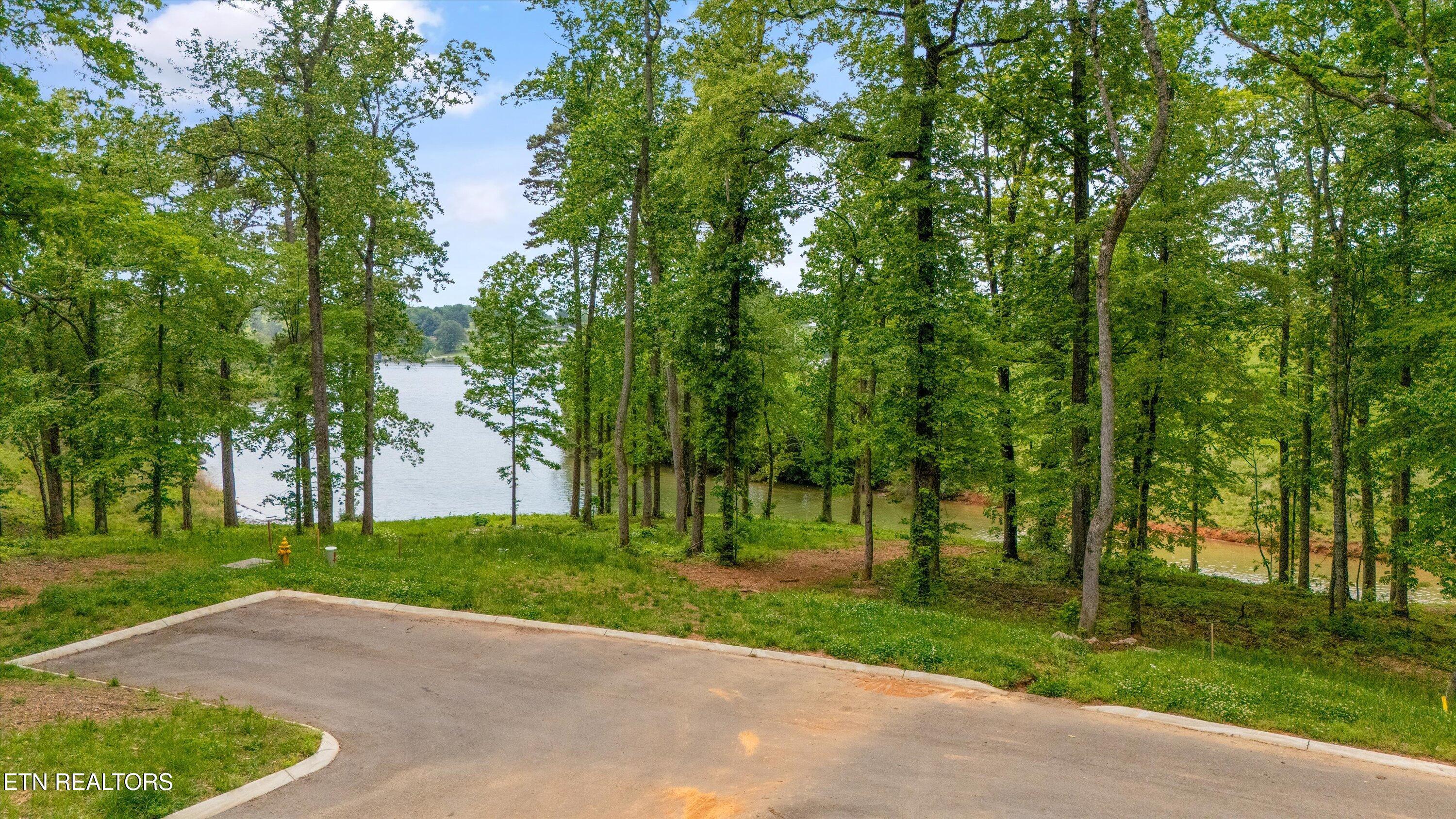 Lot 246R Arcadia Peninsula Way, Knoxville, TN - Fort Loudoun and Tellico Lake Real Estate - Image# 5