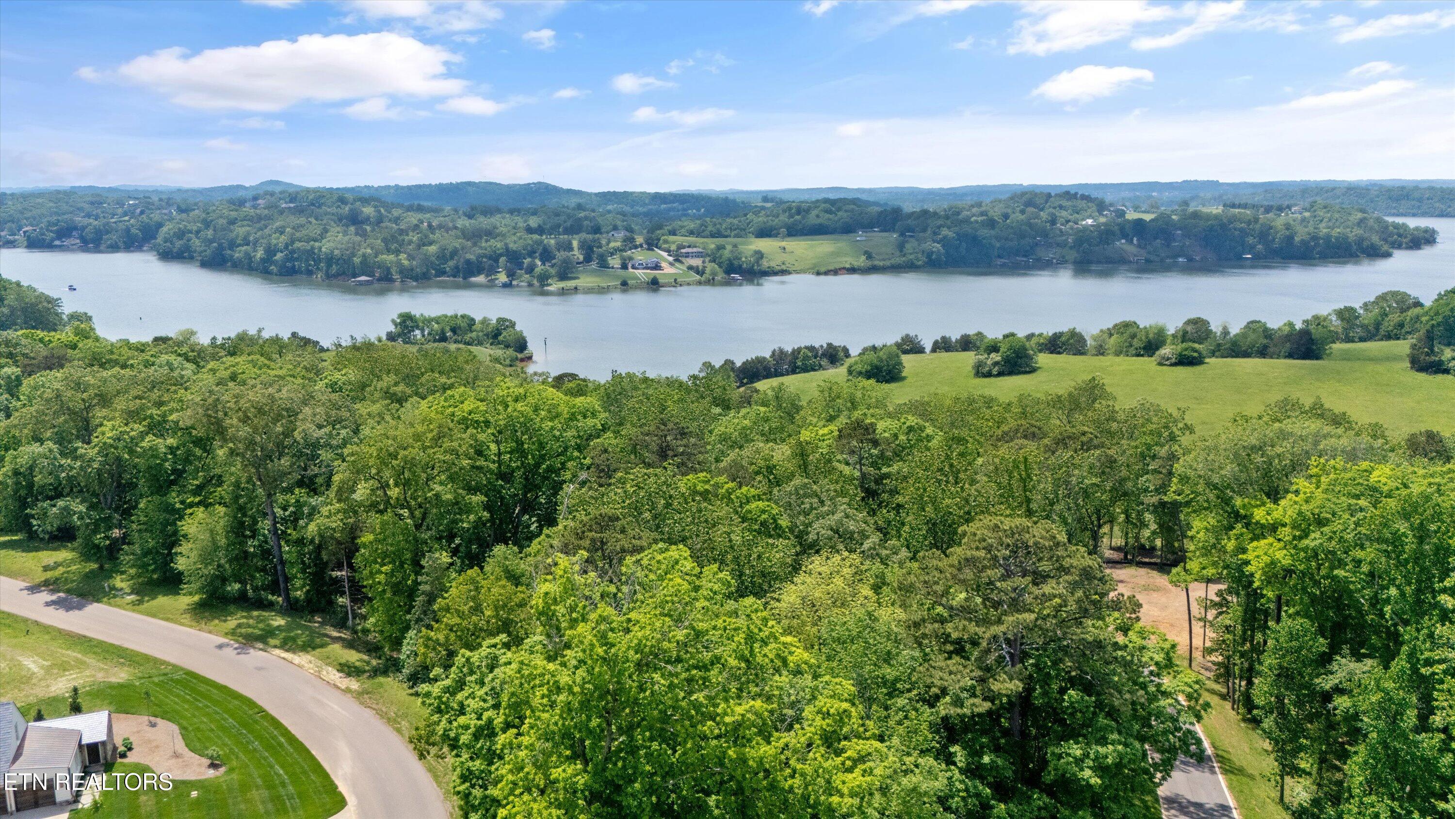 Lot 246R Arcadia Peninsula Way, Knoxville, TN - Fort Loudoun and Tellico Lake Real Estate - Image# 9