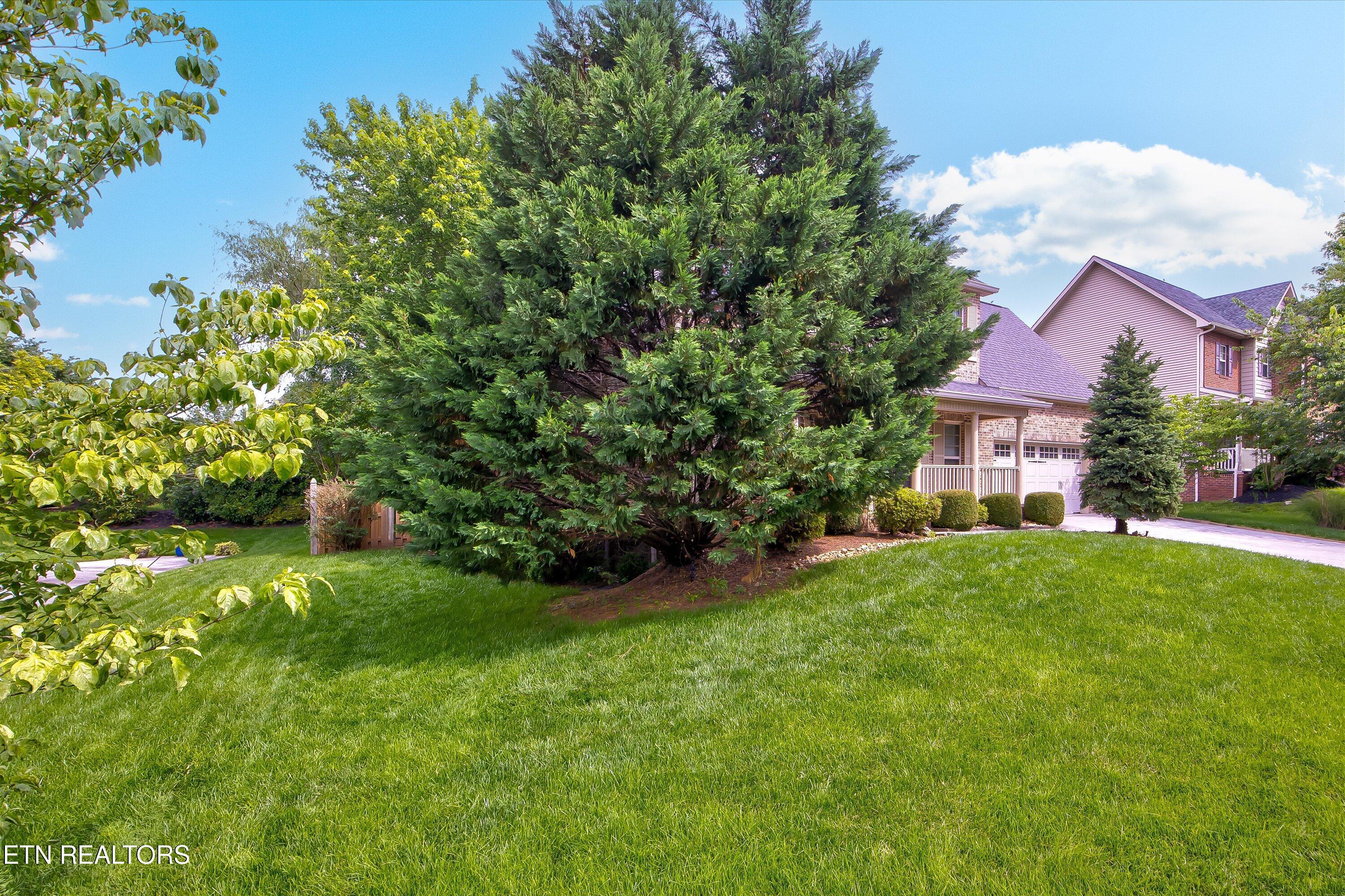 Fort Loudoun and Tellico Lake Real Estate - Image# 4