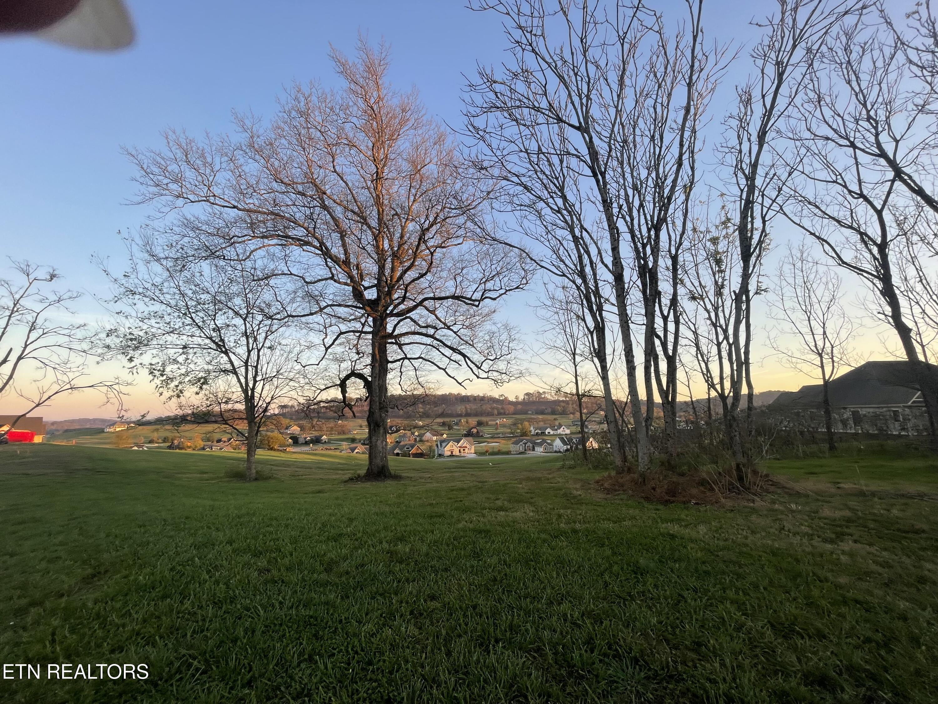 763 Eagle Point Drive, Loudon, TN - Fort Loudoun and Tellico Lake Real Estate - Image# 9