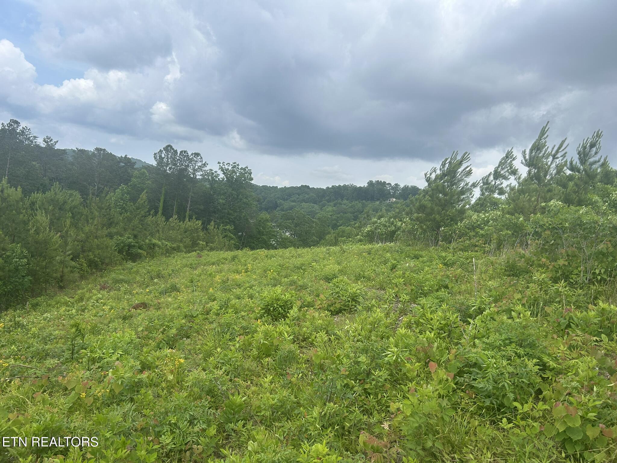 Three Point Rd, Vonore, TN - Fort Loudoun and Tellico Lake Real Estate - Image# 5