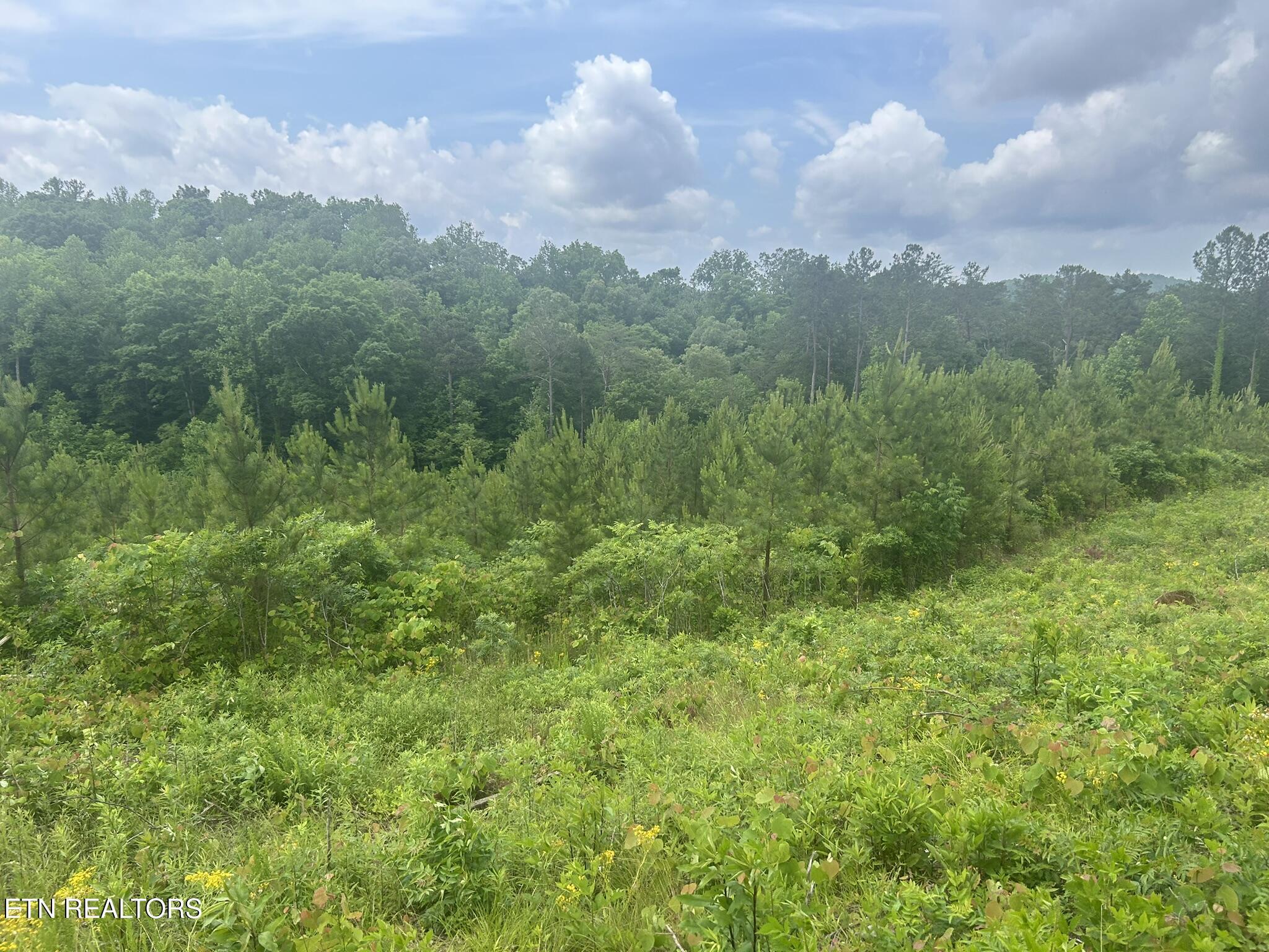Three Point Rd, Vonore, TN - Fort Loudoun and Tellico Lake Real Estate - Image# 6