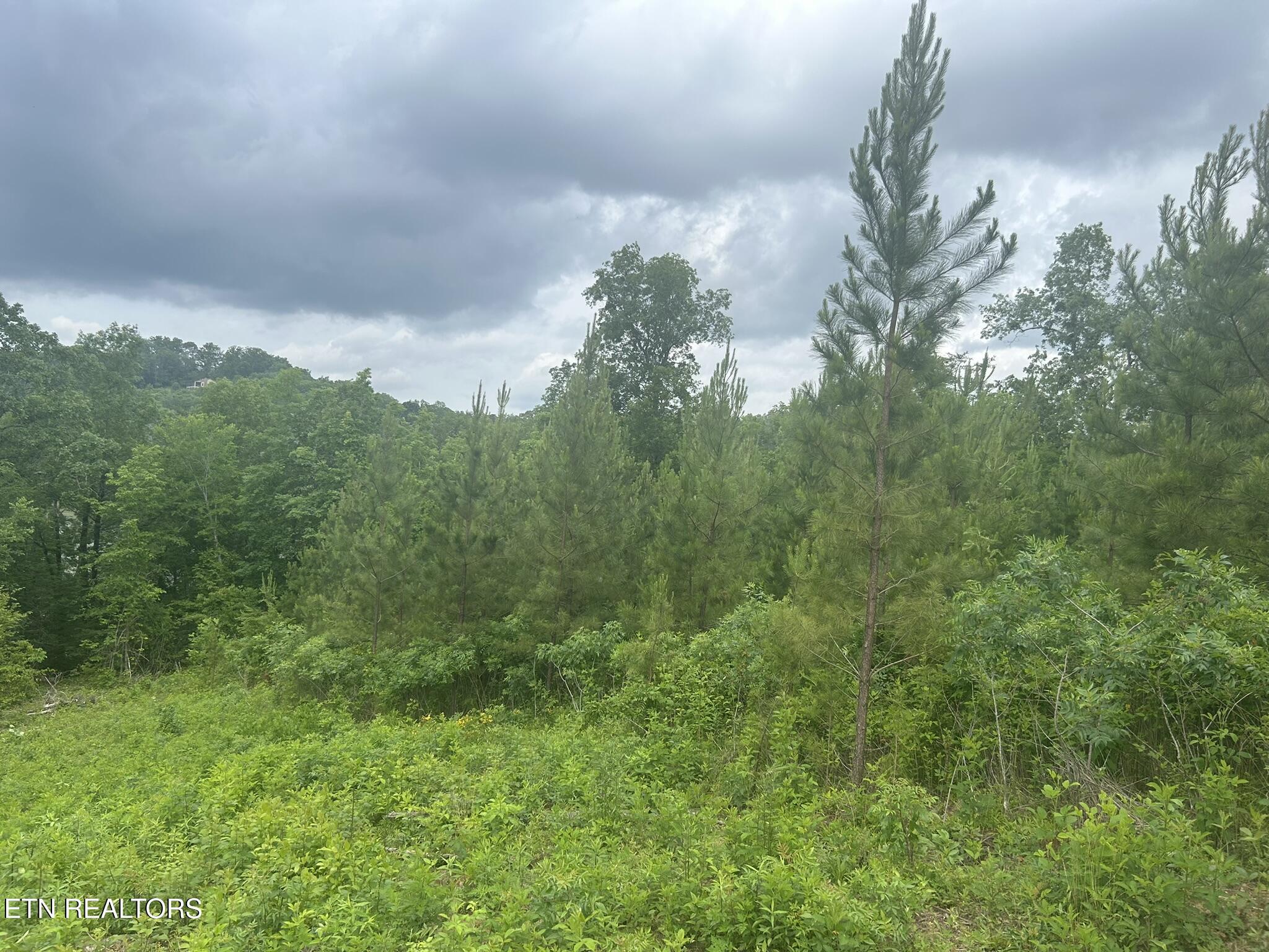 Three Point Rd, Vonore, TN - Fort Loudoun and Tellico Lake Real Estate - Image# 7