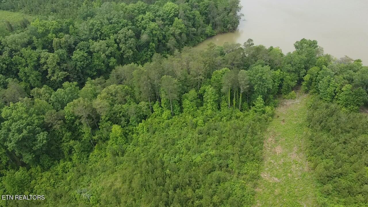 Three Point Rd, Vonore, TN - Fort Loudoun and Tellico Lake Real Estate - Image# 8