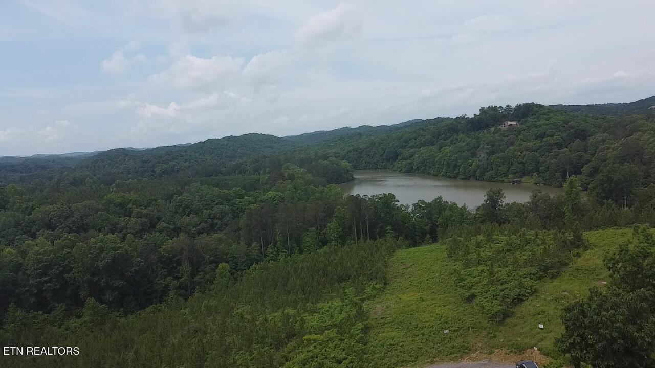 Three Point Rd, Vonore, TN - Fort Loudoun and Tellico Lake Real Estate - Image# 13
