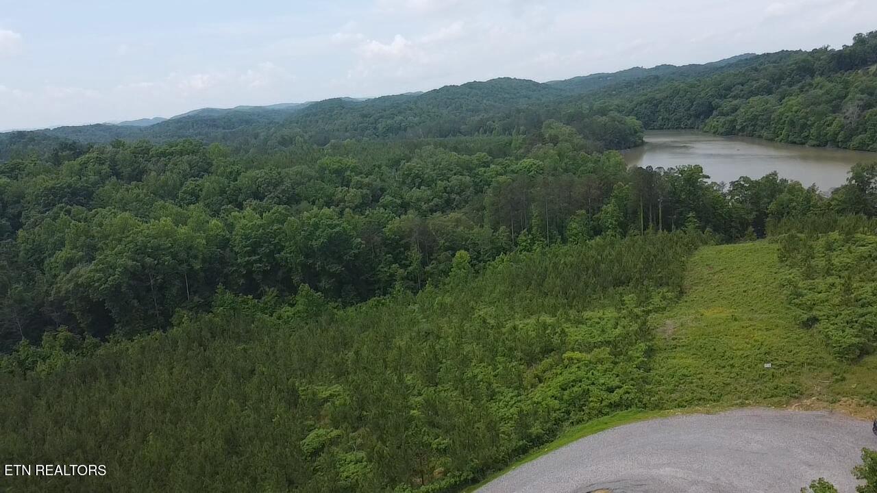 Three Point Rd, Vonore, TN - Fort Loudoun and Tellico Lake Real Estate - Image# 14