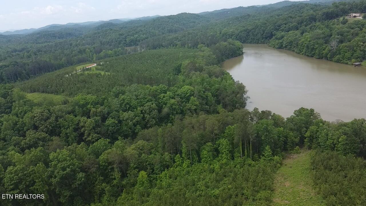 Three Point Rd, Vonore, TN - Fort Loudoun and Tellico Lake Real Estate - Image# 15