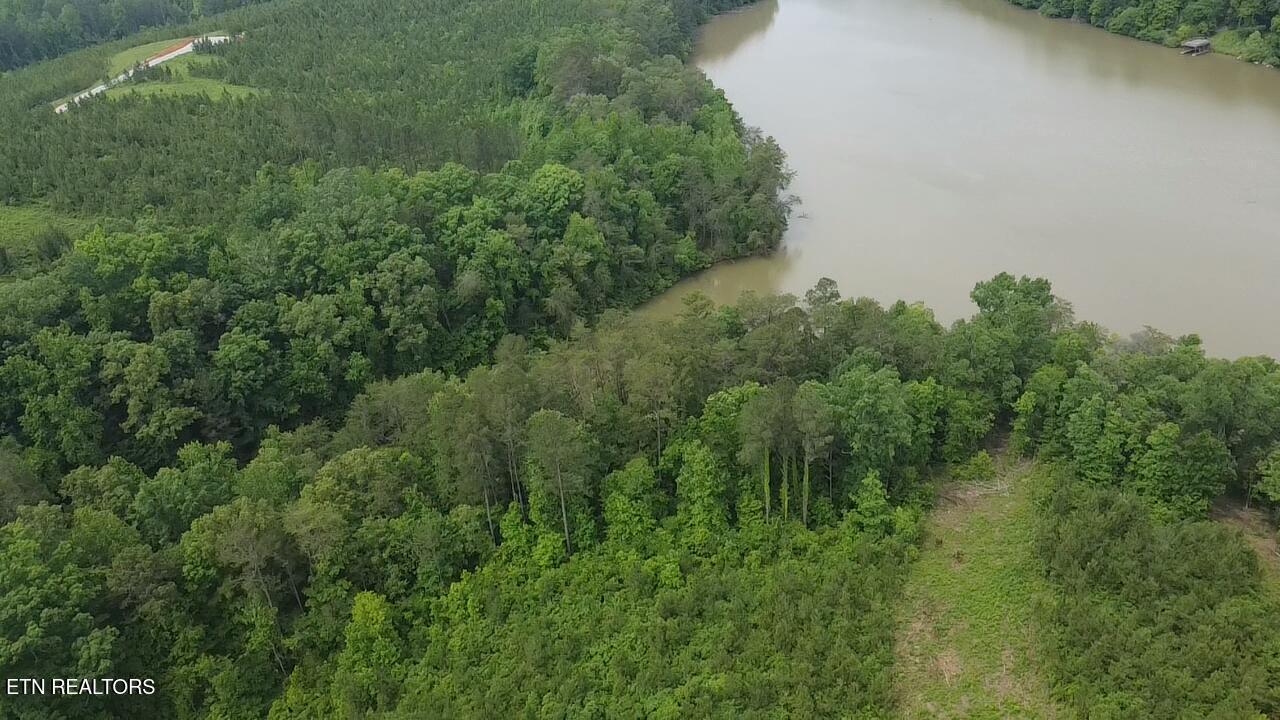 Three Point Rd, Vonore, TN - Fort Loudoun and Tellico Lake Real Estate - Image# 3