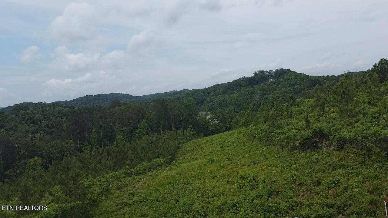 Three Point Rd, Vonore, TN - Fort Loudoun and Tellico Lake Real Estate - Image# 16