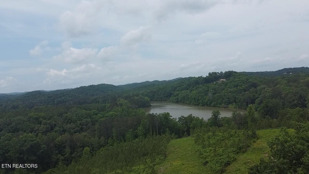 Three Point Rd, Vonore, TN - Fort Loudoun and Tellico Lake Real Estate - Image# 17