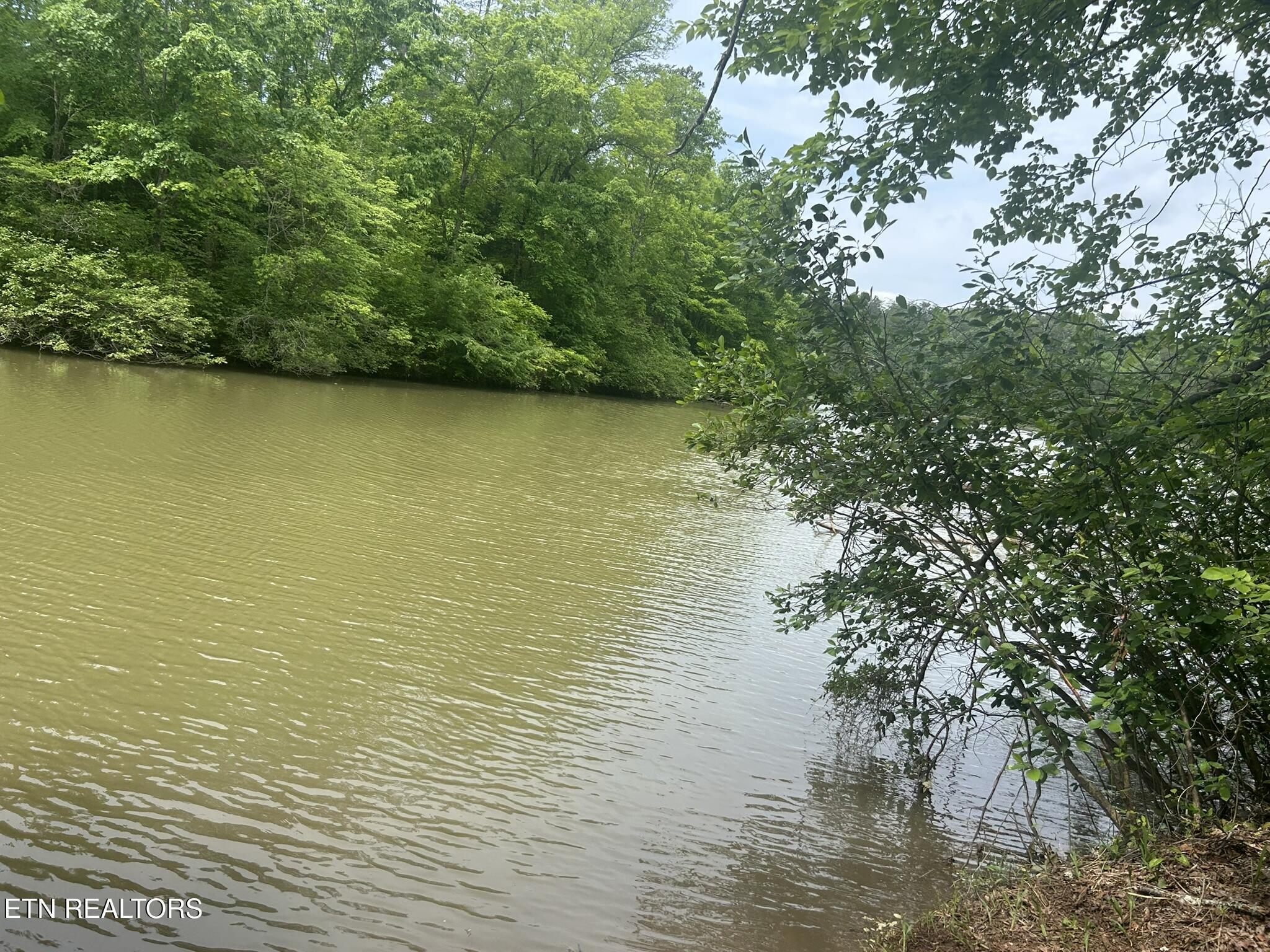Three Point Rd, Vonore, TN - Fort Loudoun and Tellico Lake Real Estate - Image# 2