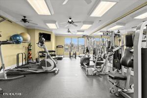 Fort Loudoun and Tellico Lake Real Estate - Image# 20