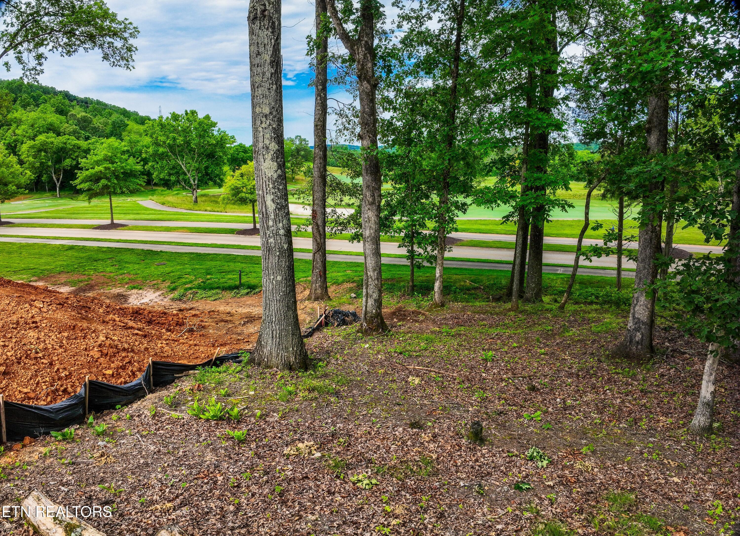 702 Blackrock Run, Loudon, TN - Fort Loudoun and Tellico Lake Real Estate - Image# 8