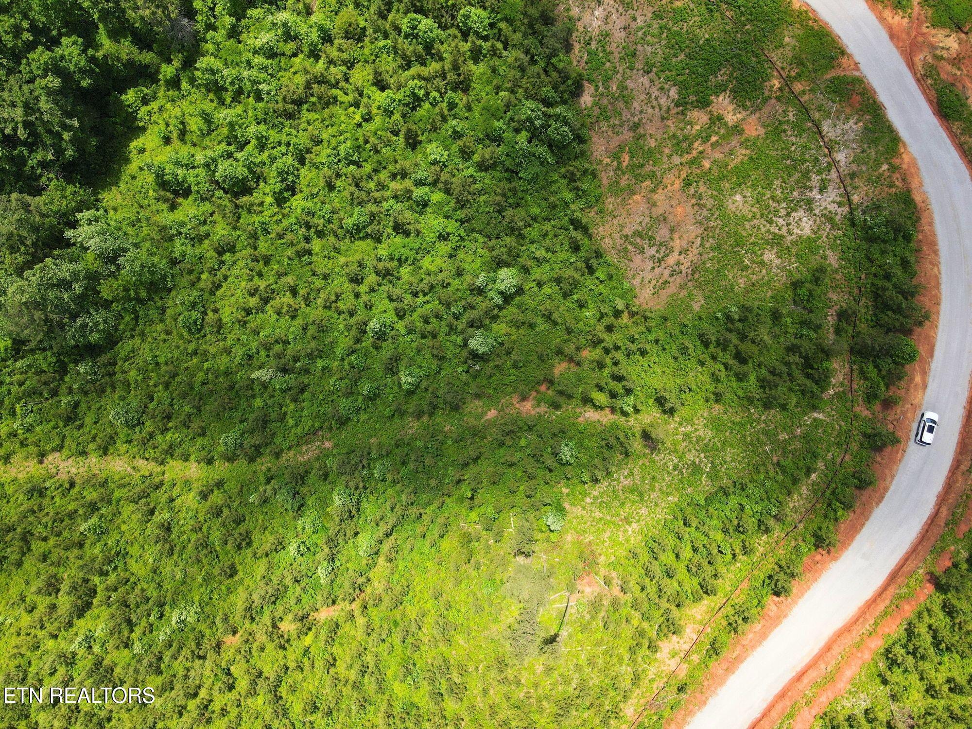 Lot 12 Winding Tr, Vonore, TN - Fort Loudoun and Tellico Lake Real Estate - Image# 14