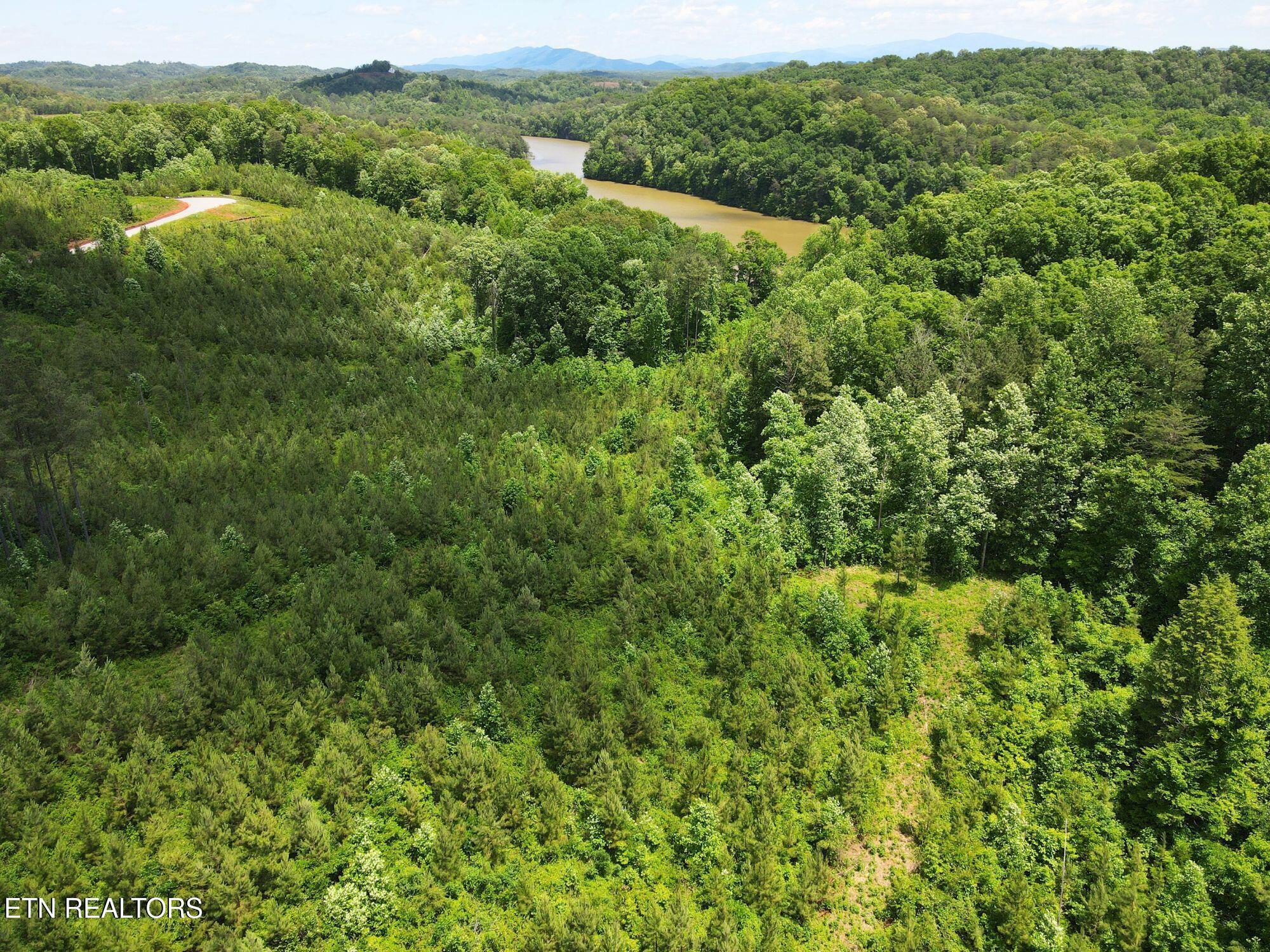 Lot 12 Winding Tr, Vonore, TN - Fort Loudoun and Tellico Lake Real Estate - Image# 24
