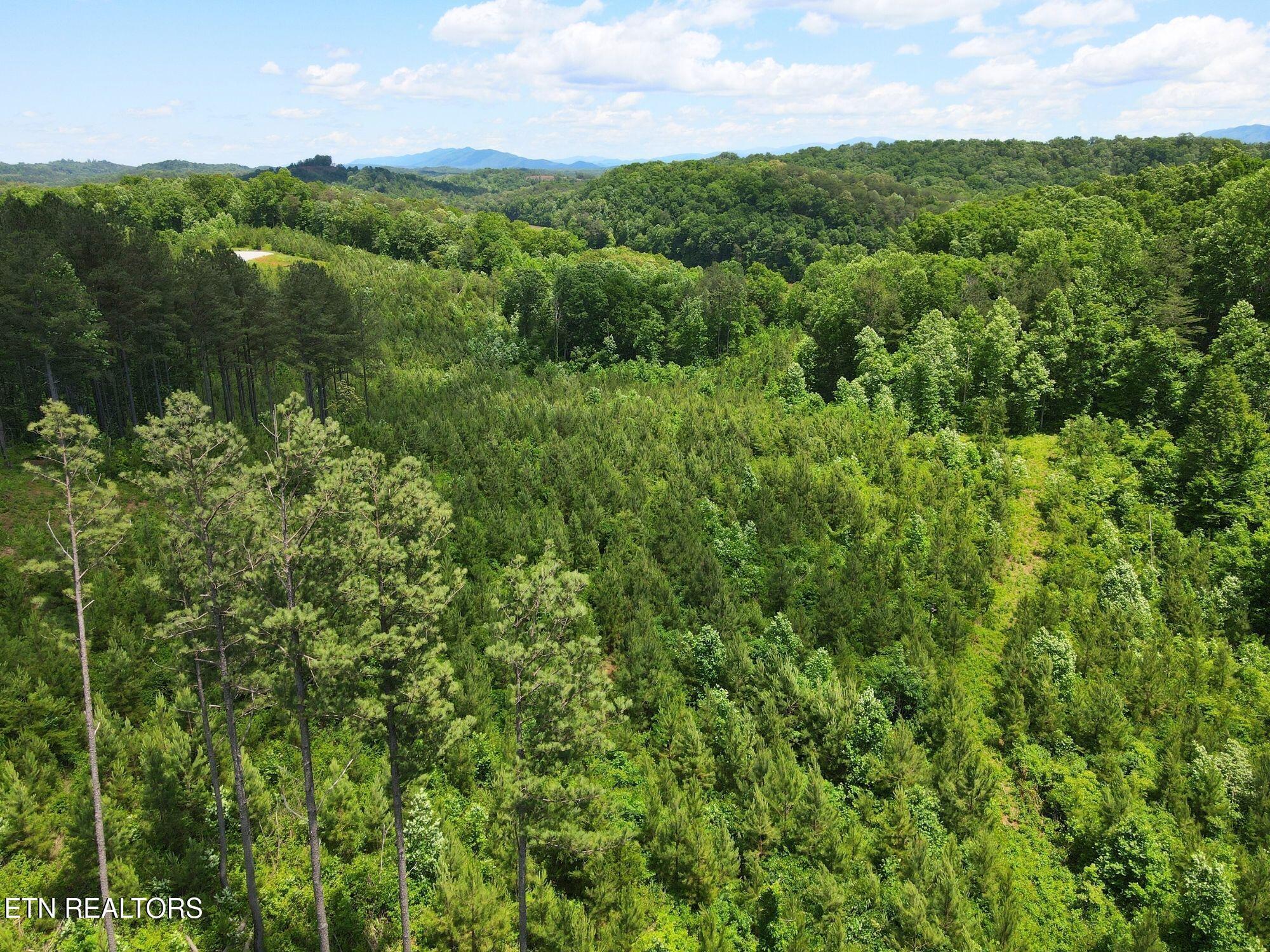 Lot 12 Winding Tr, Vonore, TN - Fort Loudoun and Tellico Lake Real Estate - Image# 25