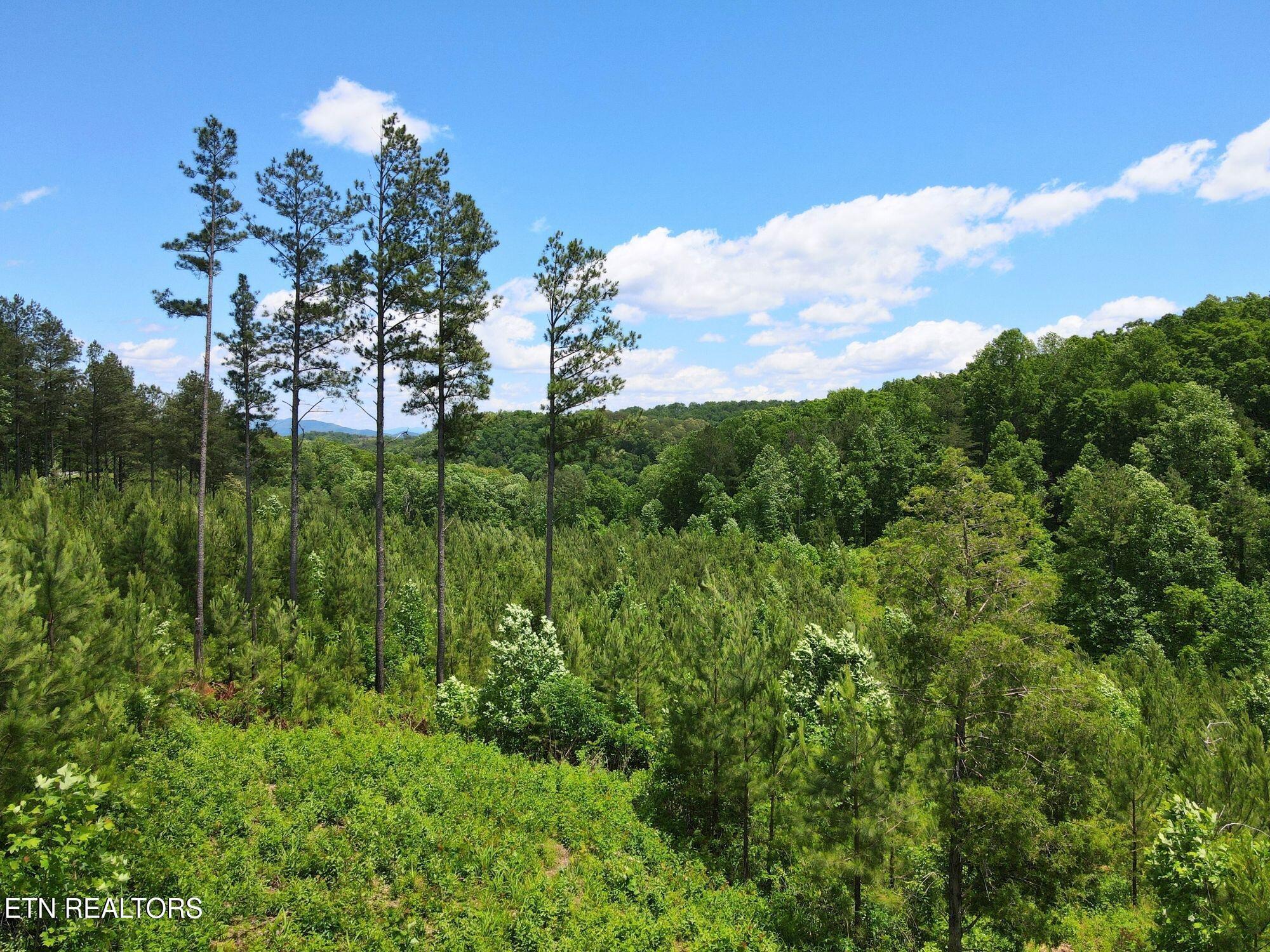 Lot 12 Winding Tr, Vonore, TN - Fort Loudoun and Tellico Lake Real Estate - Image# 10