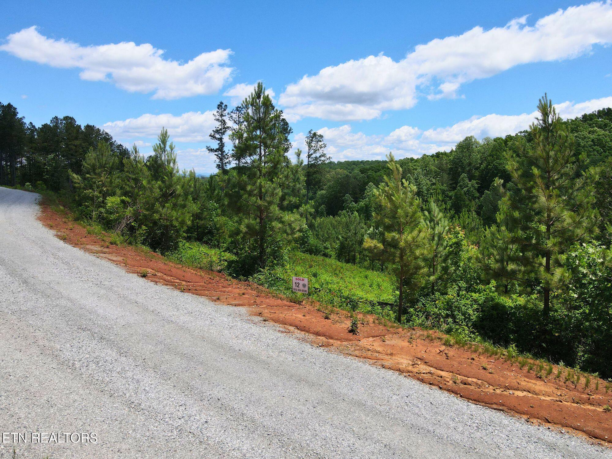 Lot 12 Winding Tr, Vonore, TN - Fort Loudoun and Tellico Lake Real Estate - Image# 2