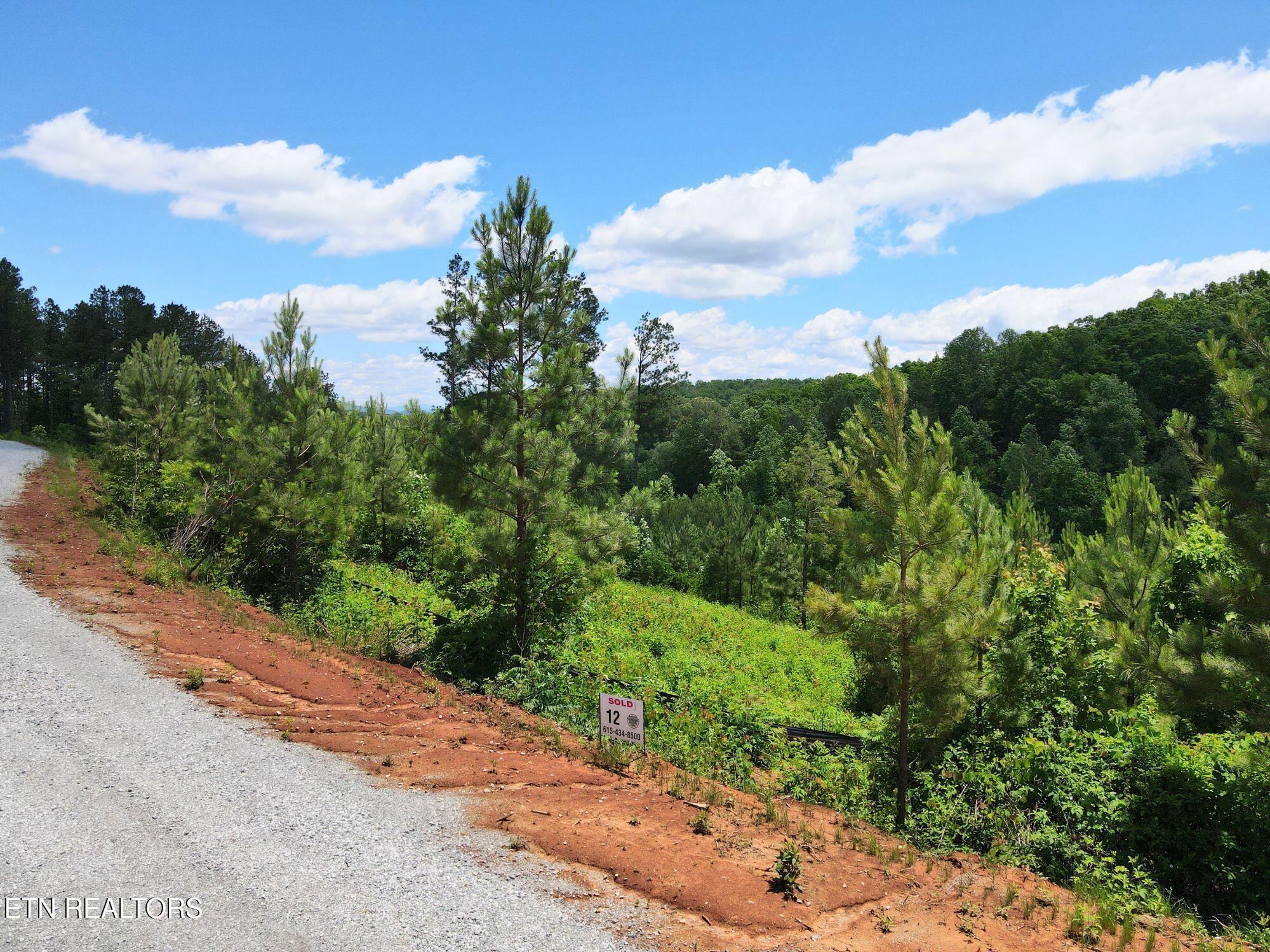 Lot 12 Winding Tr, Vonore, TN - Fort Loudoun and Tellico Lake Real Estate - Image# 1