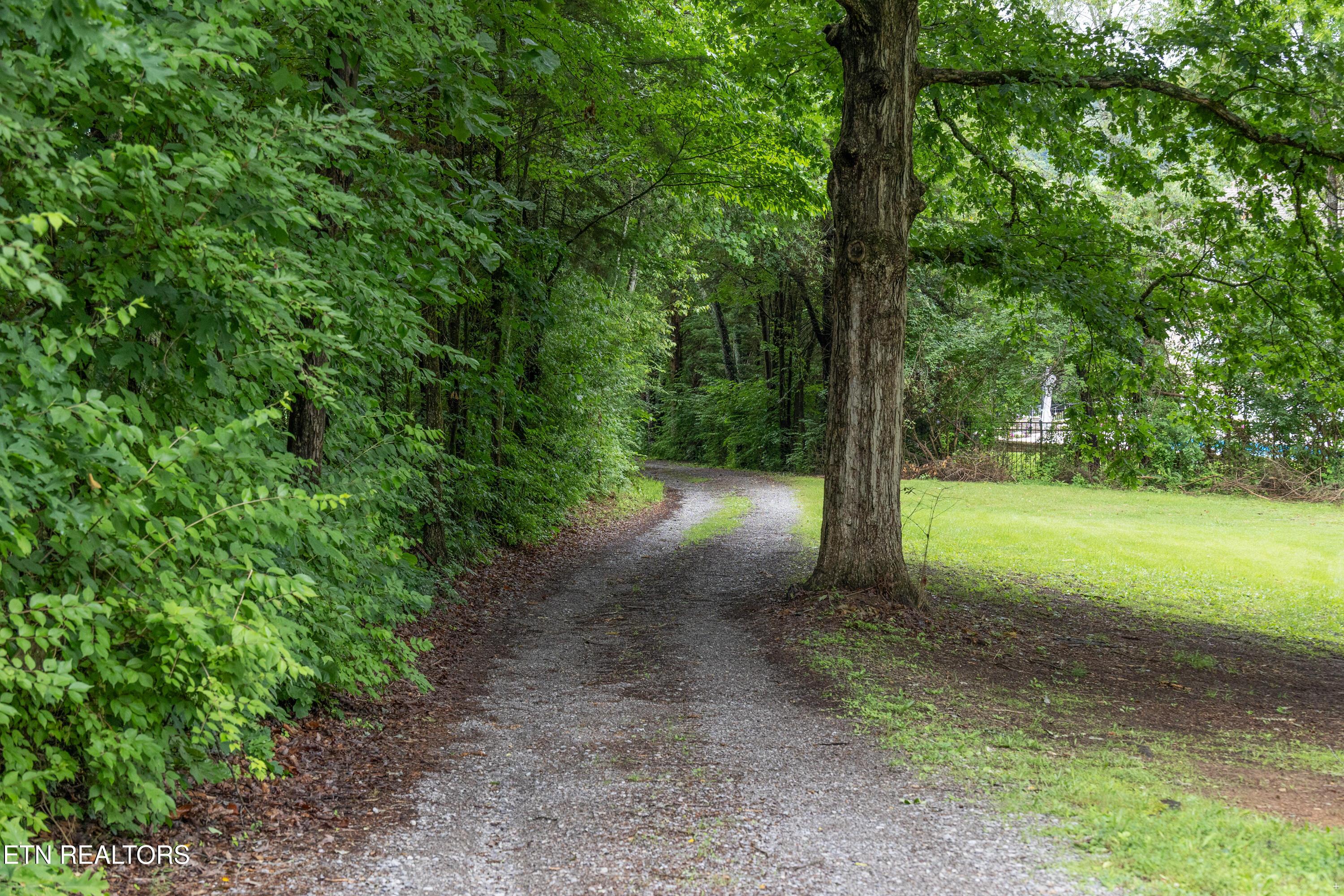 10628 Sandpiper Lane, Knoxville, TN - Fort Loudoun and Tellico Lake Real Estate - Image# 33