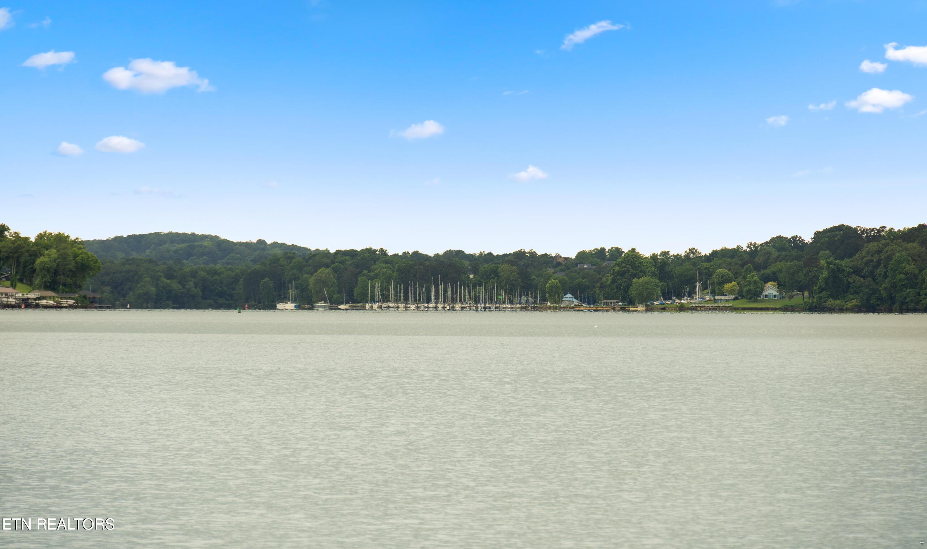 10628 Sandpiper Lane, Knoxville, TN - Fort Loudoun and Tellico Lake Real Estate - Image# 37