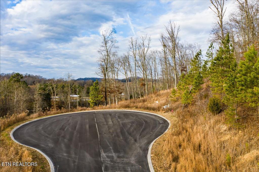 Twin Lakes Drive, Loudon, TN - Fort Loudoun and Tellico Lake Real Estate - Image# 8