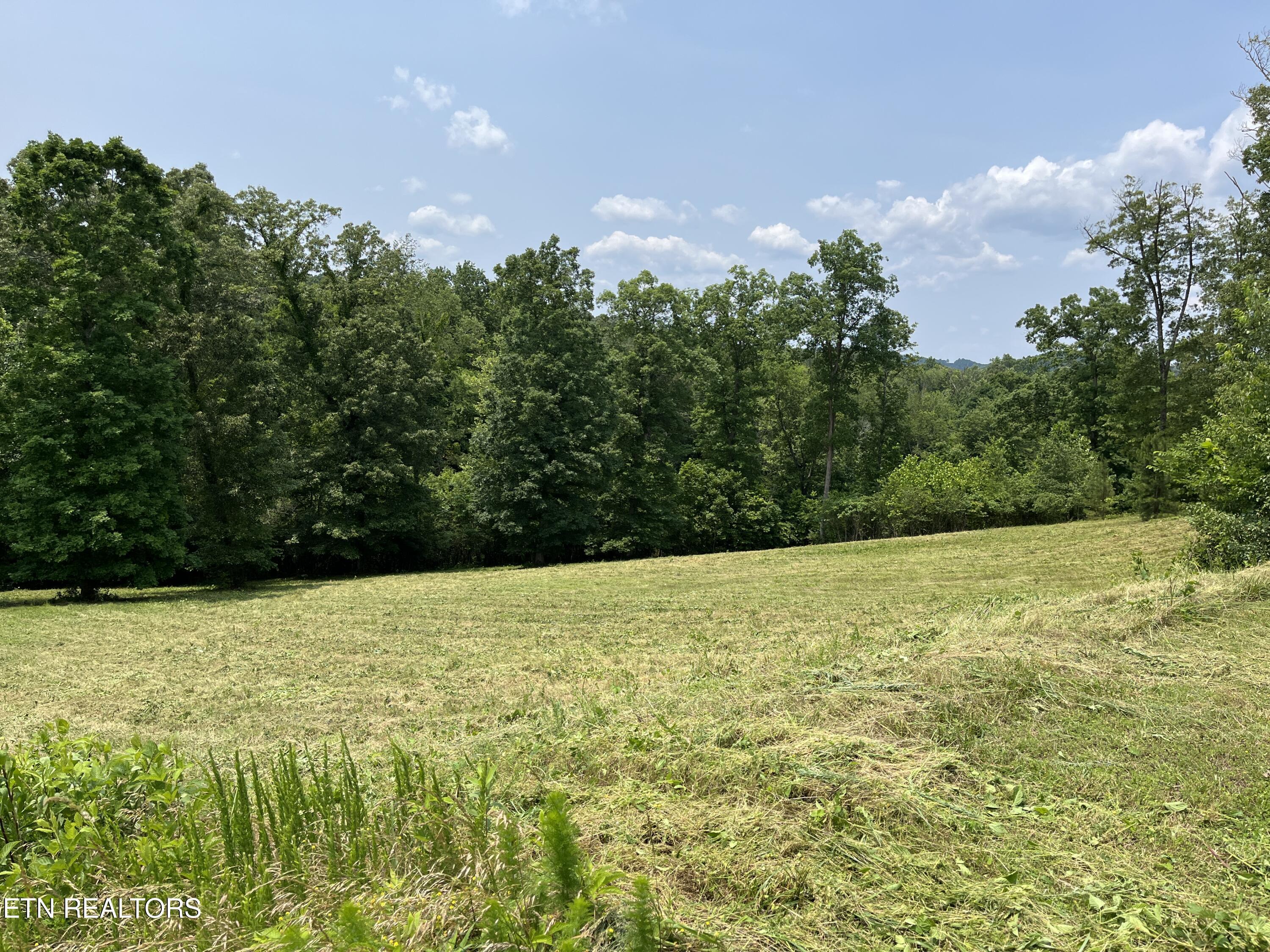 Twin Lakes Drive, Loudon, TN - Fort Loudoun and Tellico Lake Real Estate - Image# 13